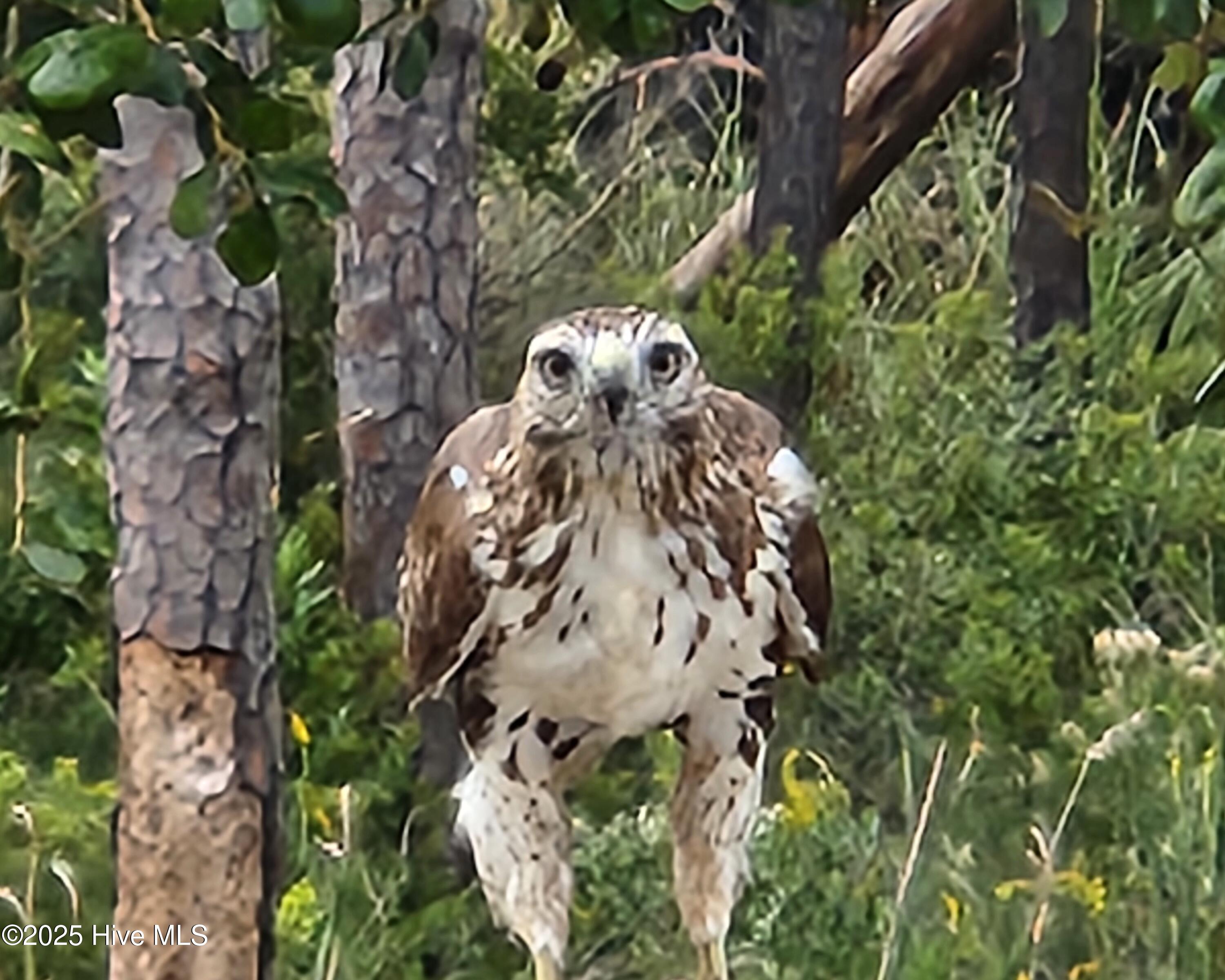 4986 N Hampton Drive SE