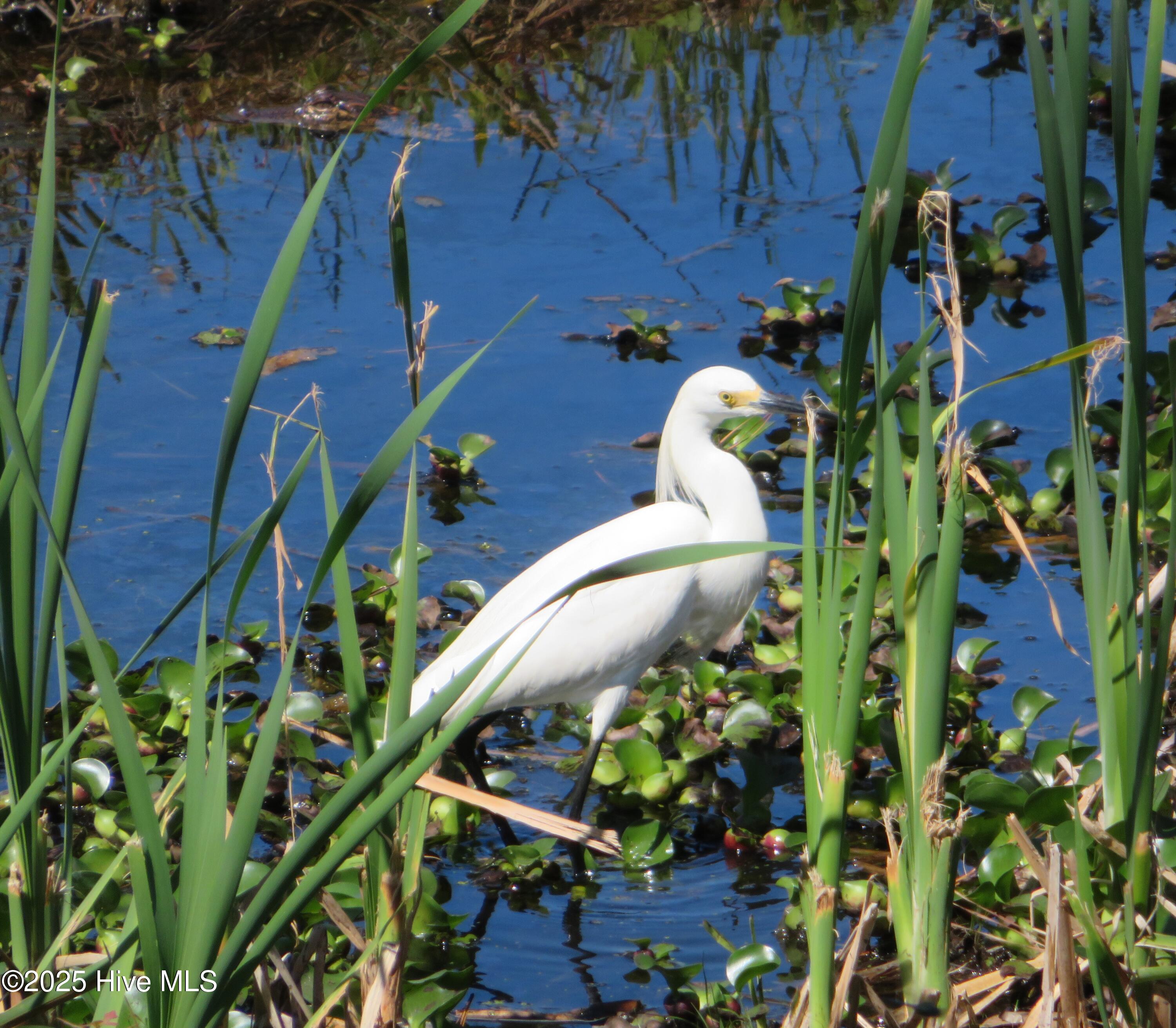 4986 N Hampton Drive SE