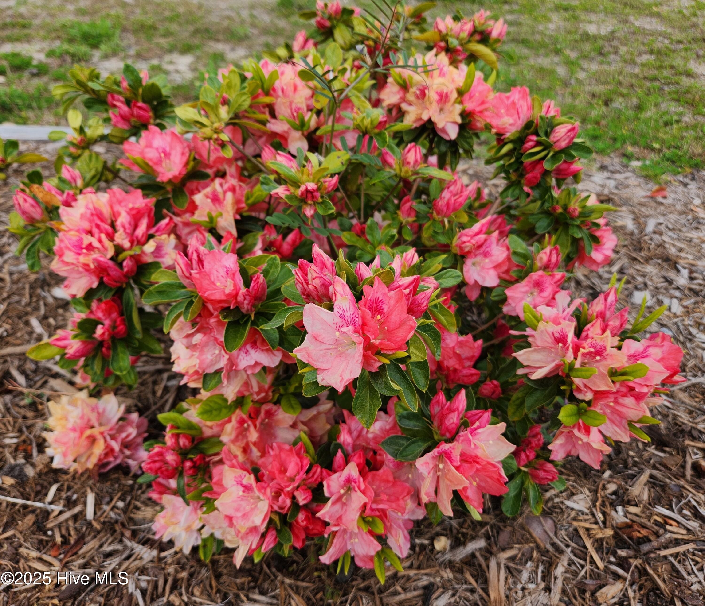 4986 N Hampton Drive SE