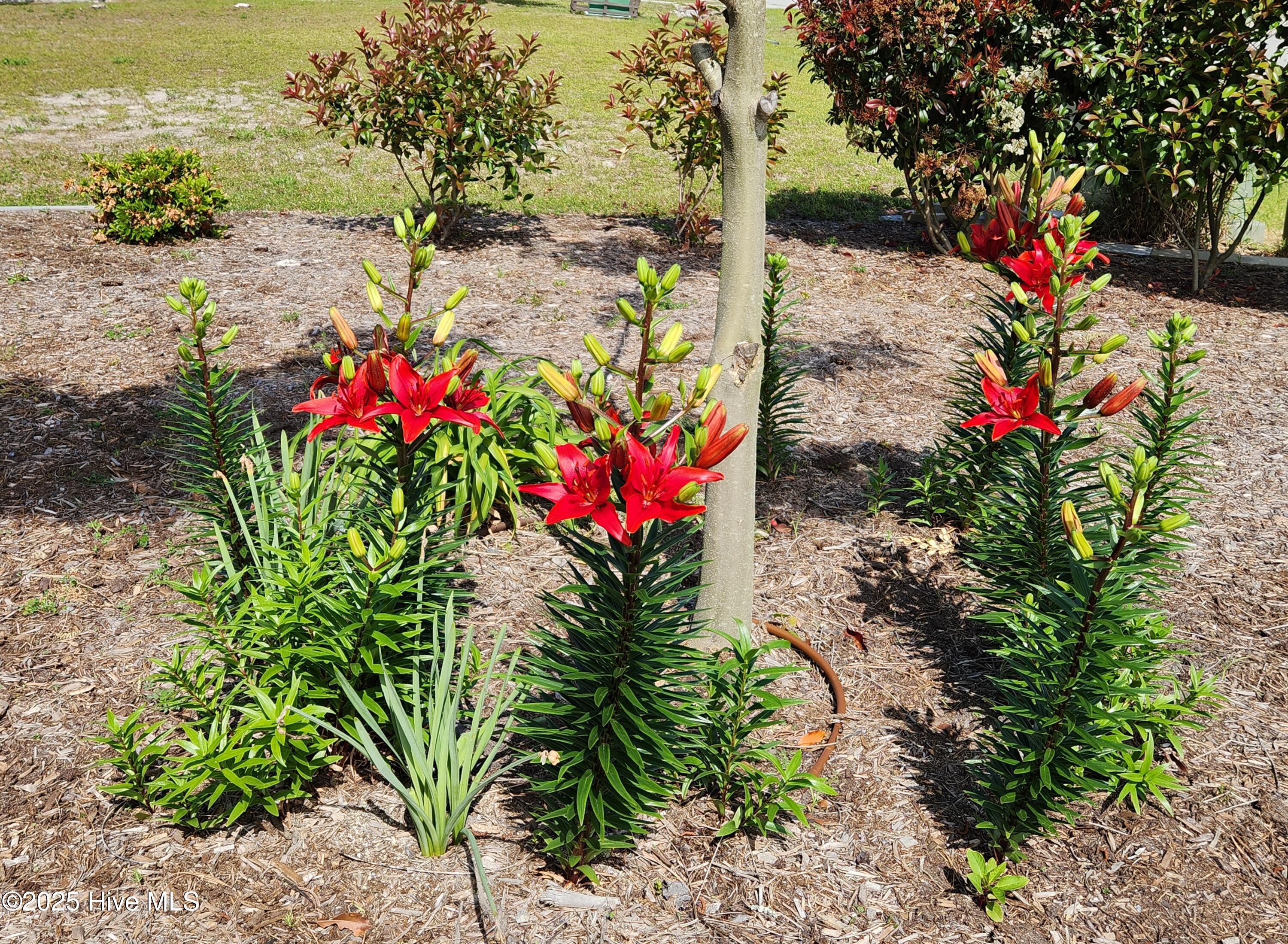 4986 N Hampton Drive SE