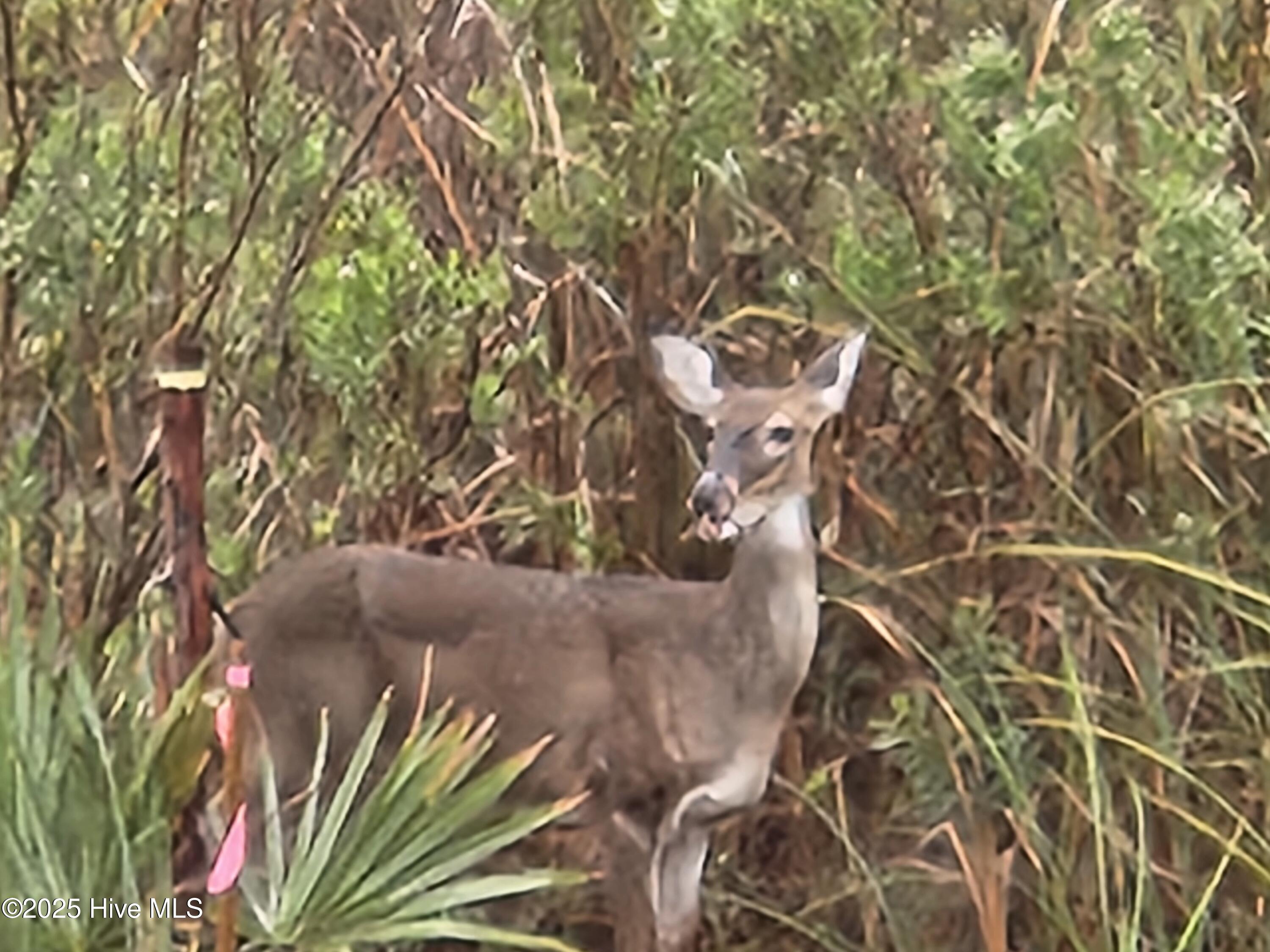 4986 N Hampton Drive SE