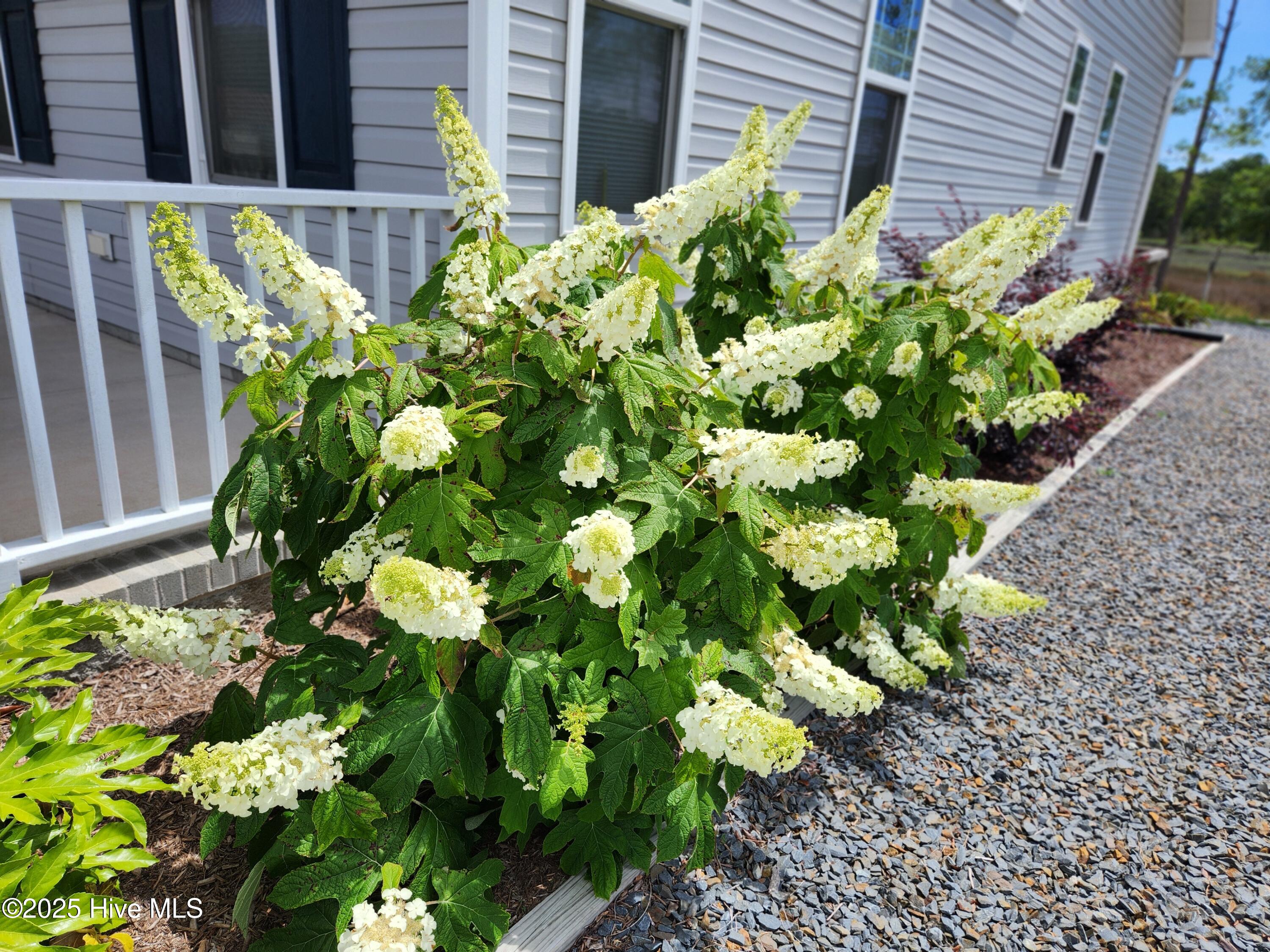 4986 N Hampton Drive SE