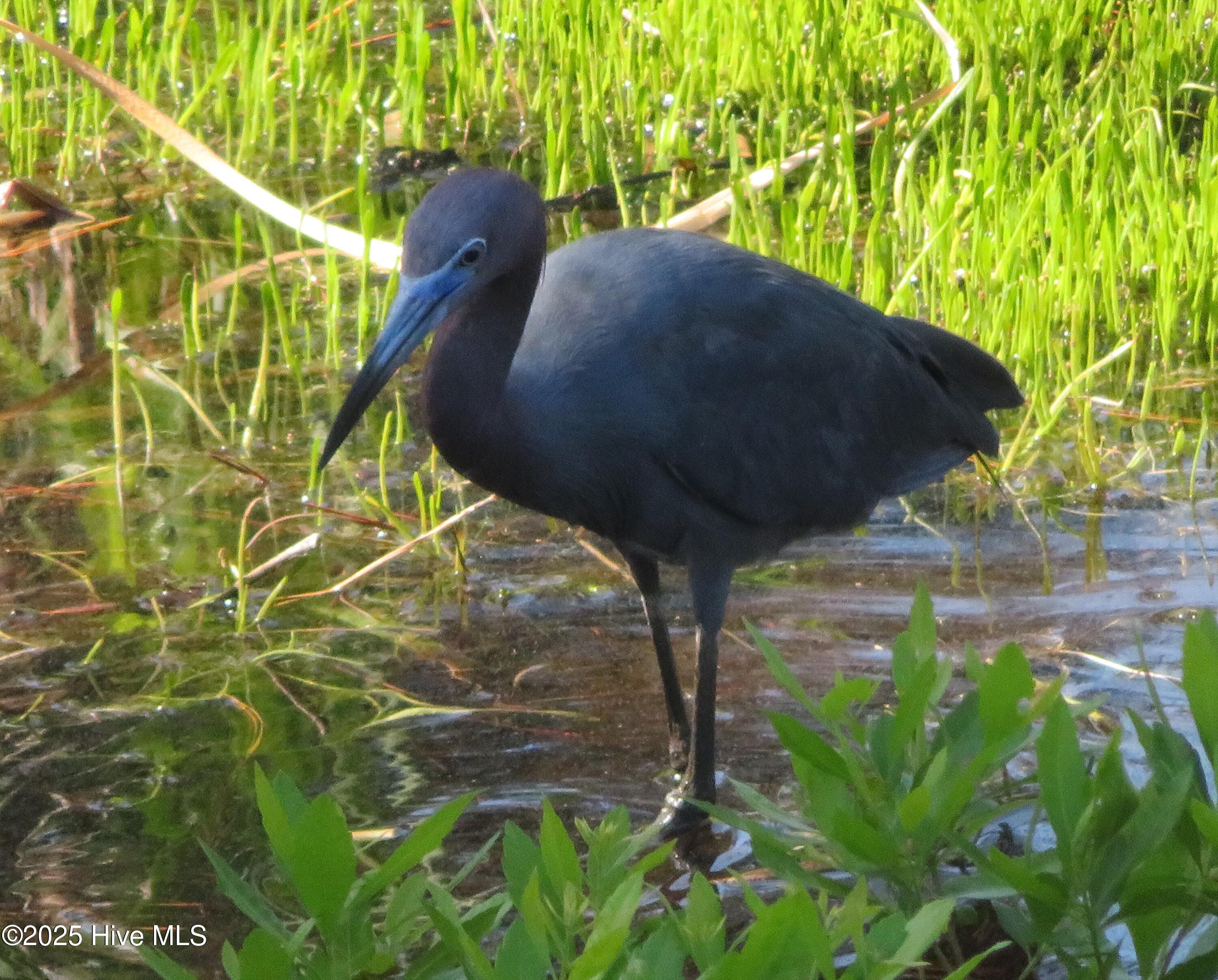 4986 N Hampton Drive SE