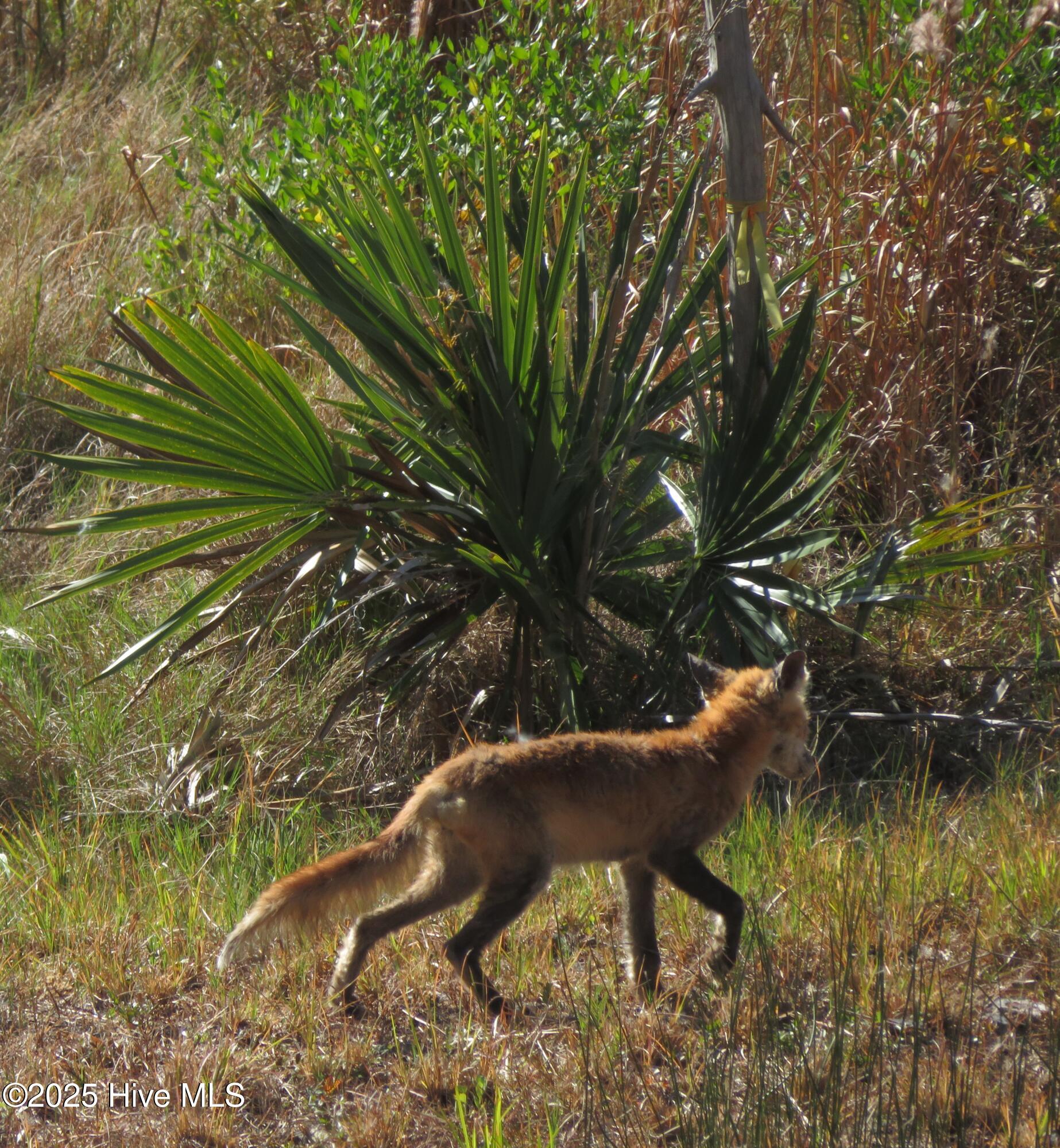 4986 N Hampton Drive SE