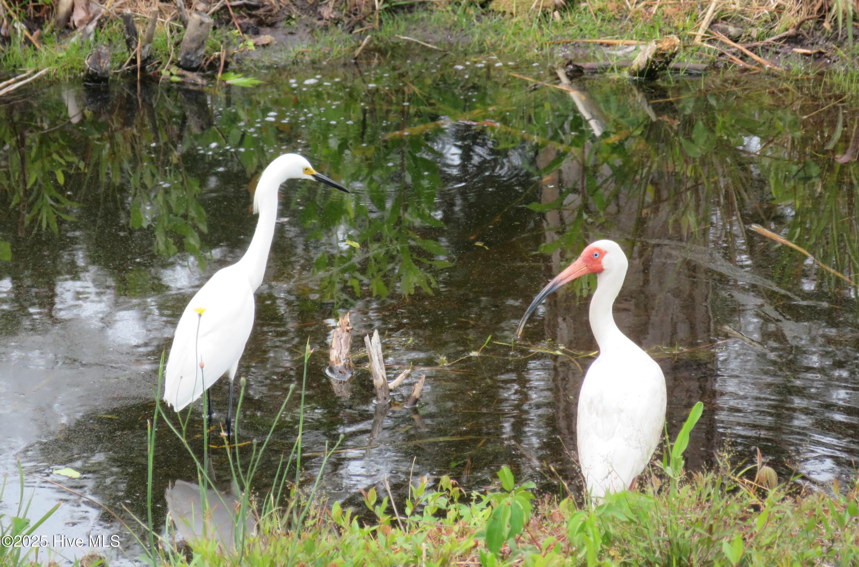 4986 N Hampton Drive SE