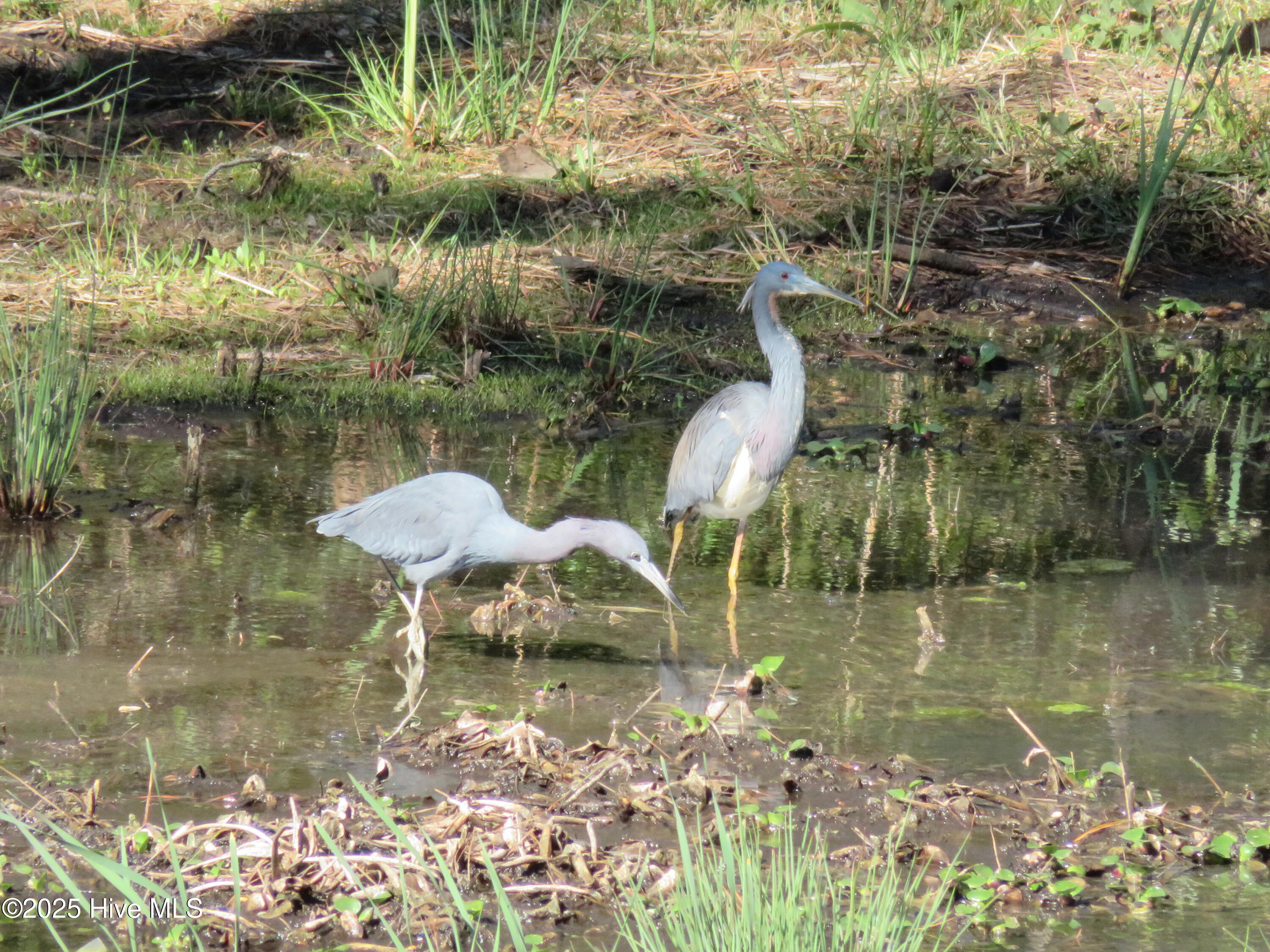 4986 N Hampton Drive SE