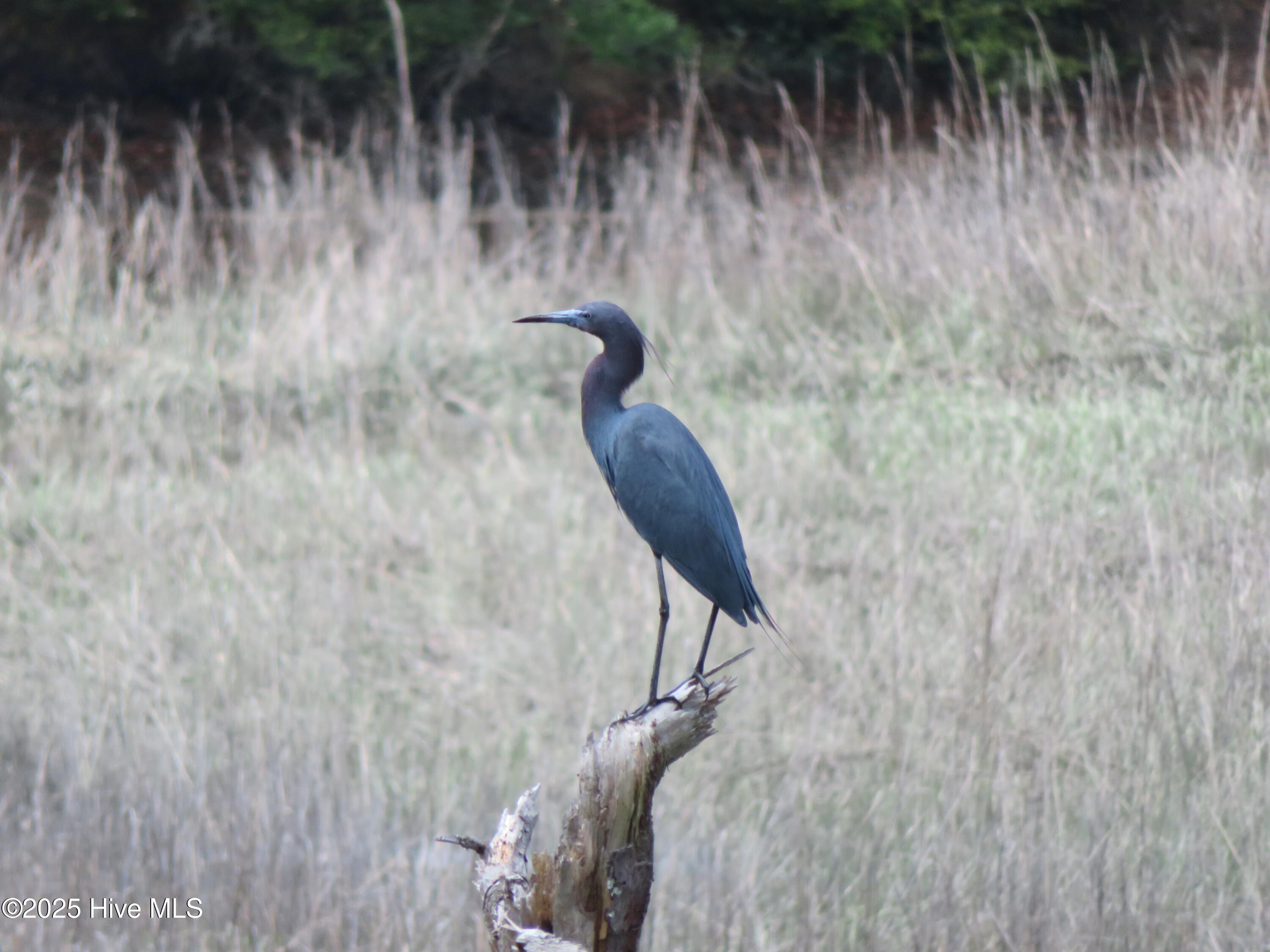 4986 N Hampton Drive SE