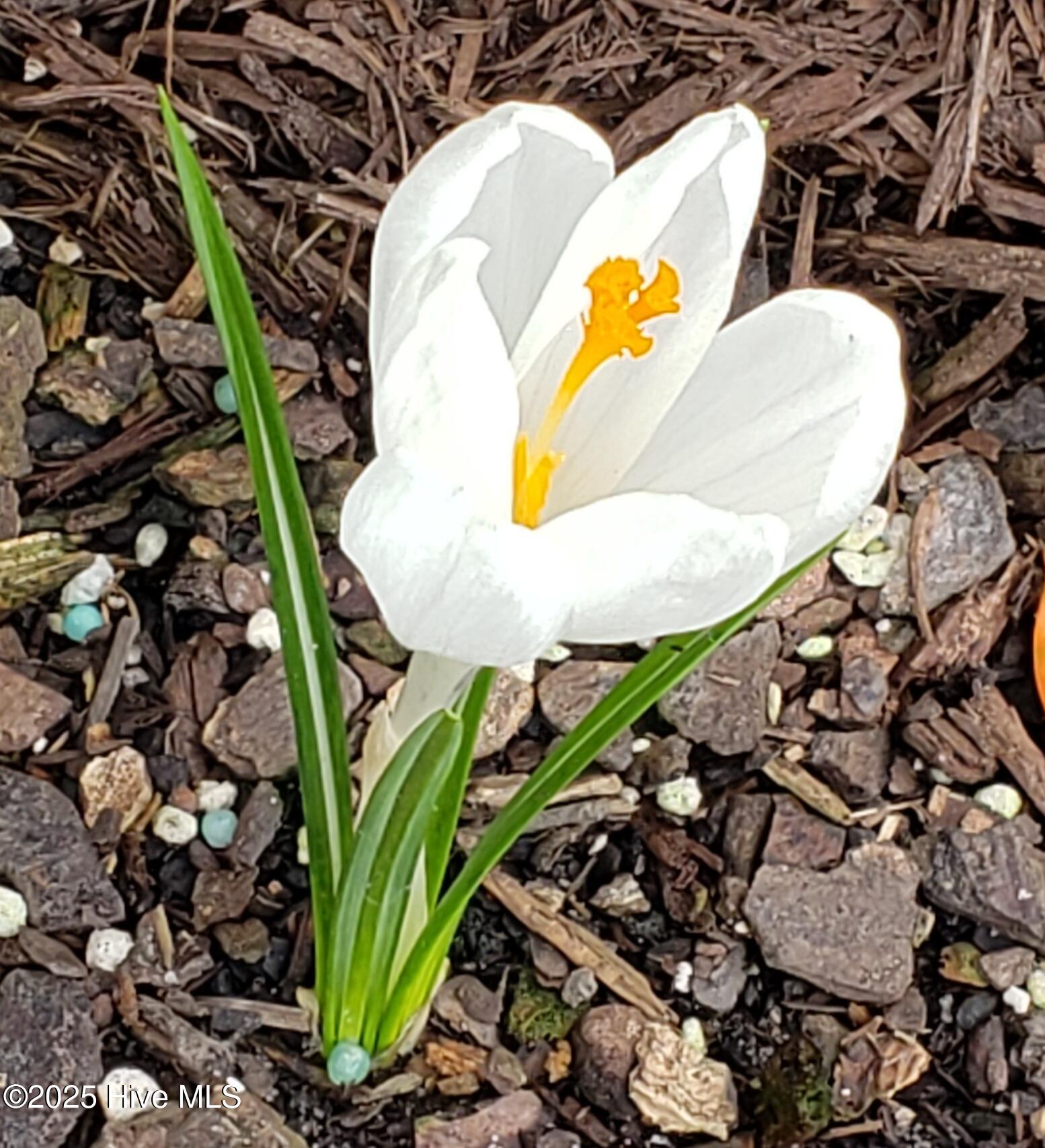 4986 N Hampton Drive SE