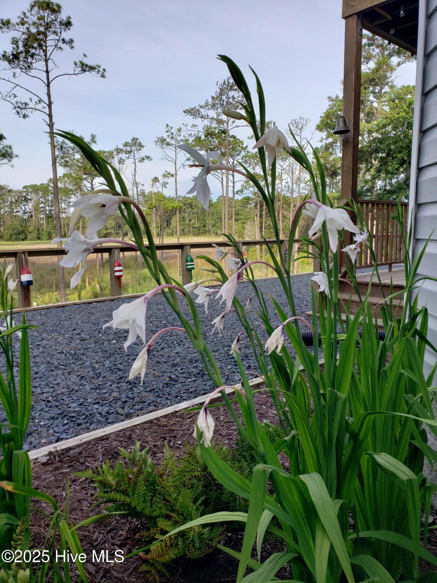 4986 N Hampton Drive SE