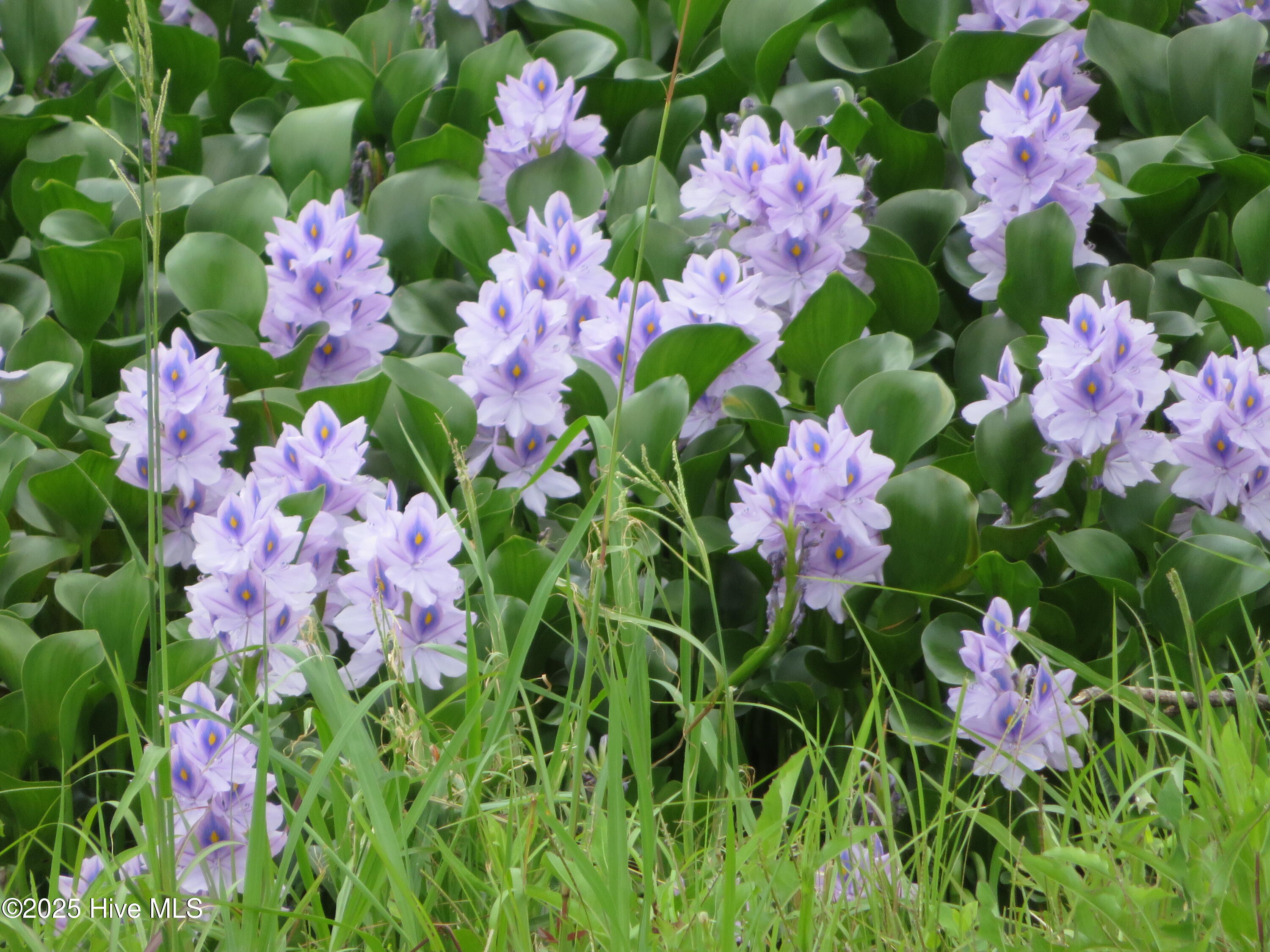 4986 N Hampton Drive SE