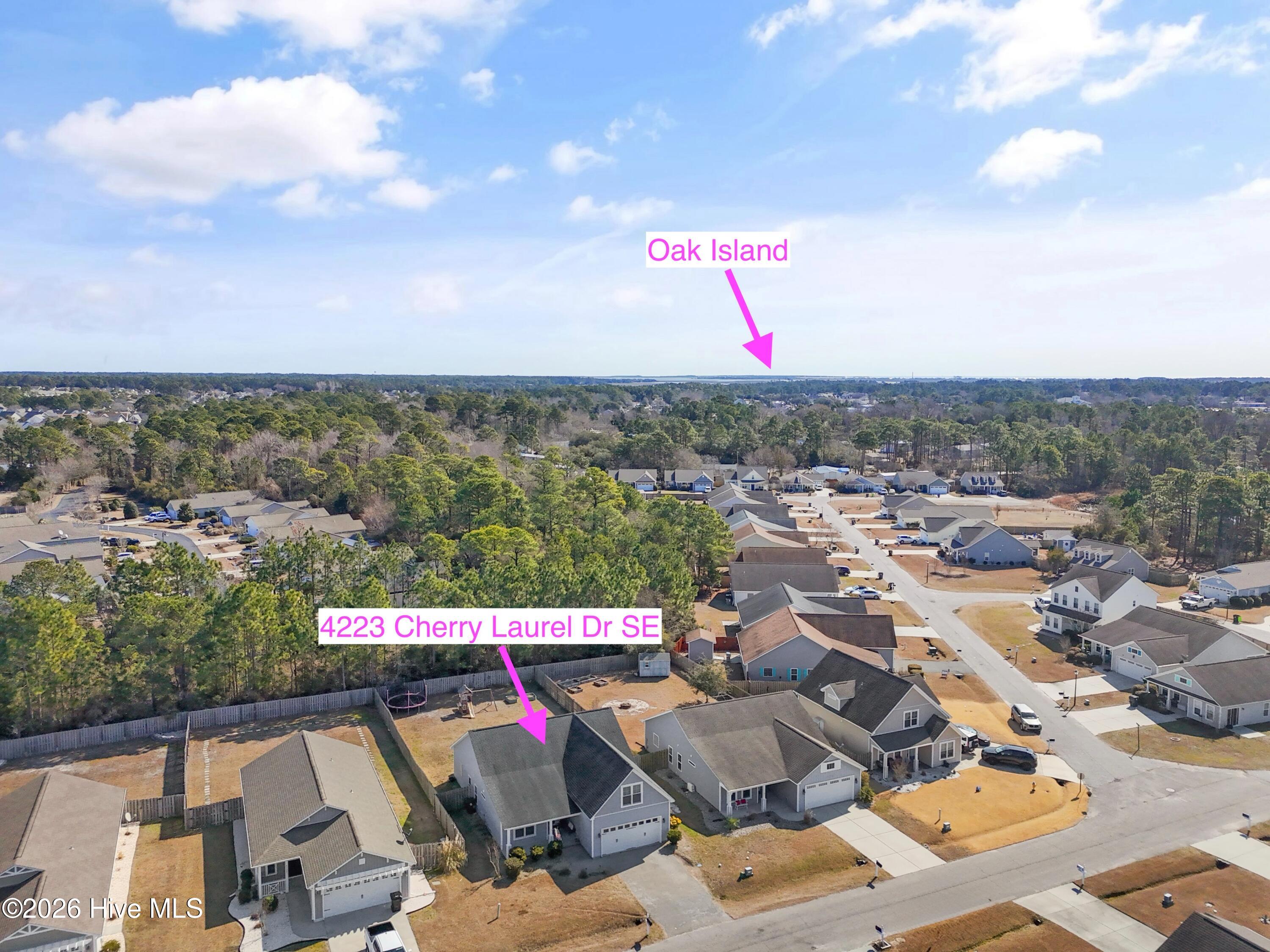 4223 Cherry Laurel Drive SE