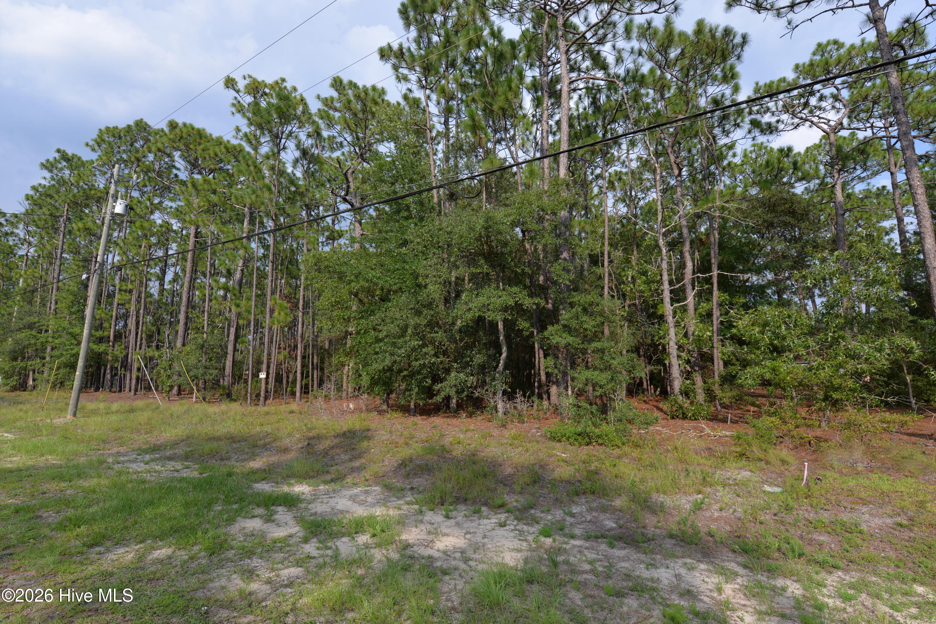 873 & 881 49,50,51 Eden Drive