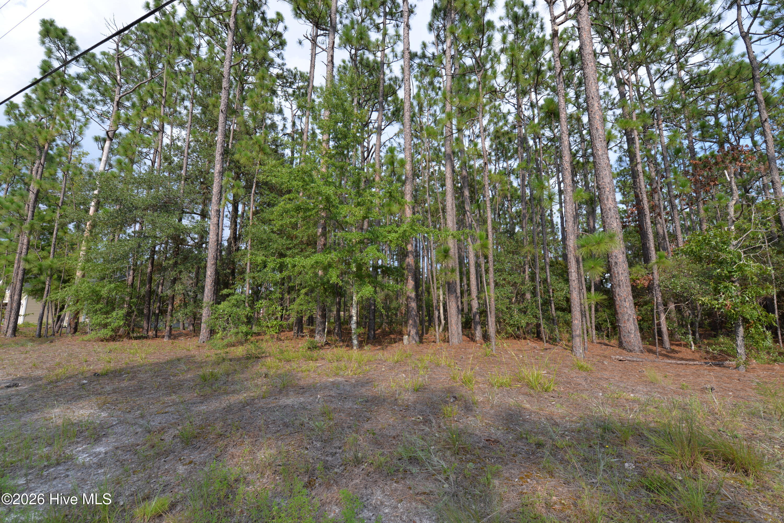 873 & 881 49,50,51 Eden Drive