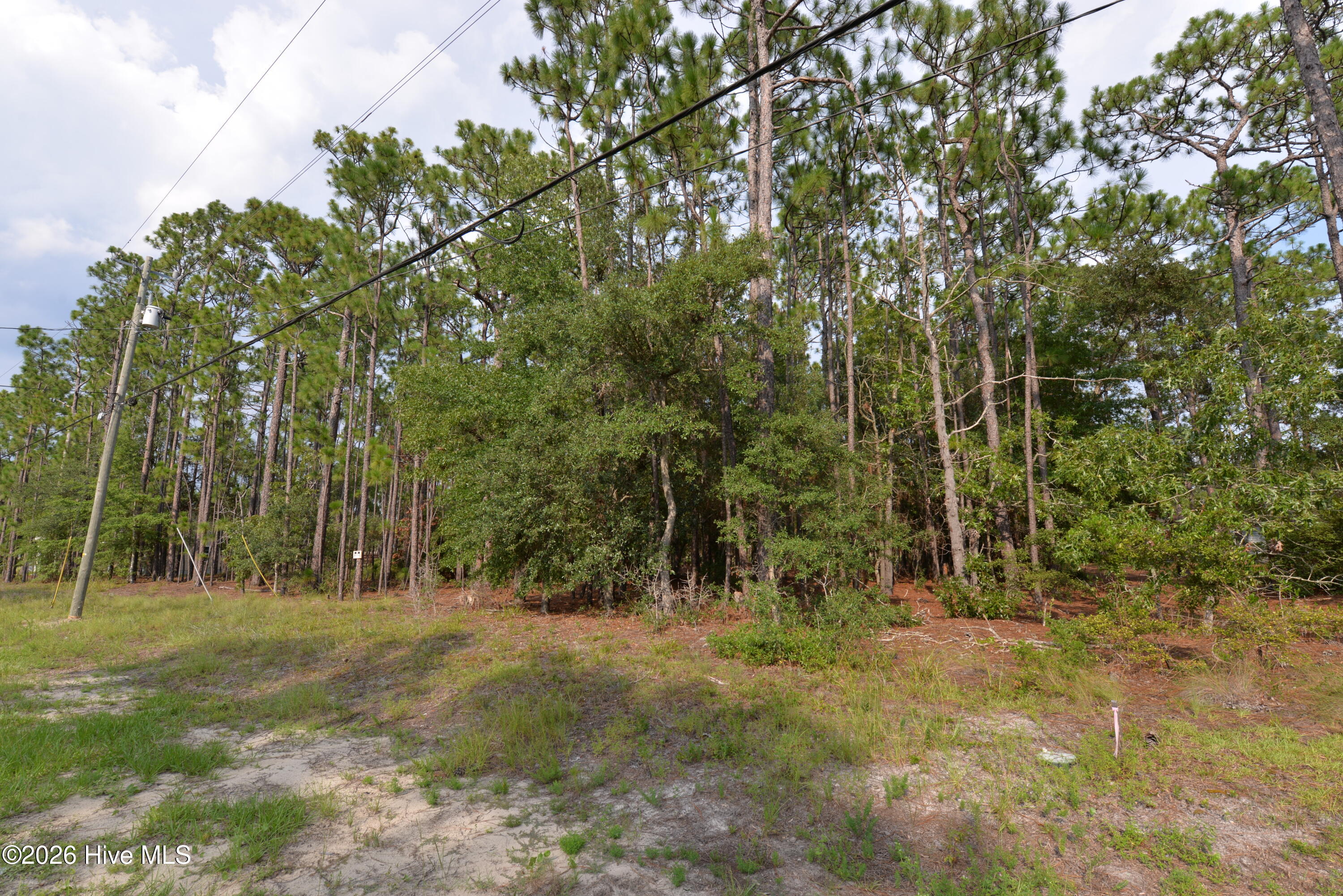 881 50+51 Eden Drive
