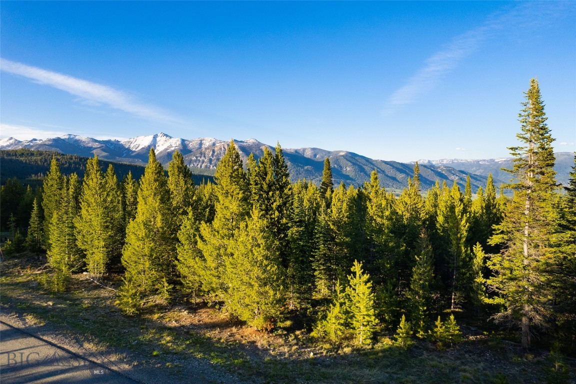 67 Goshawk Trail