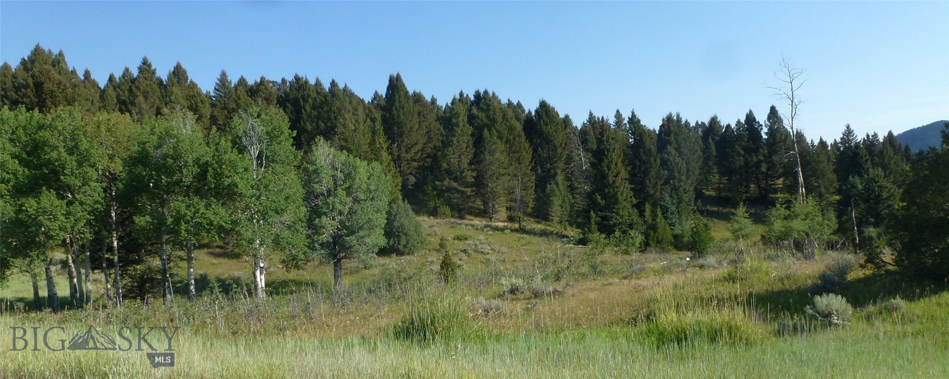 37 Talus Trail