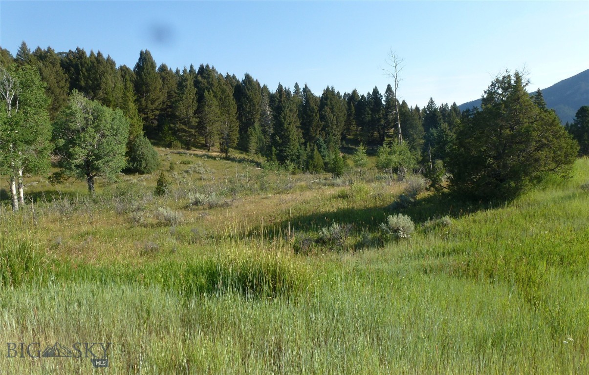37 Talus Trail