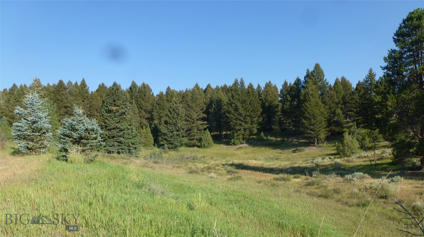 37 Talus Trail