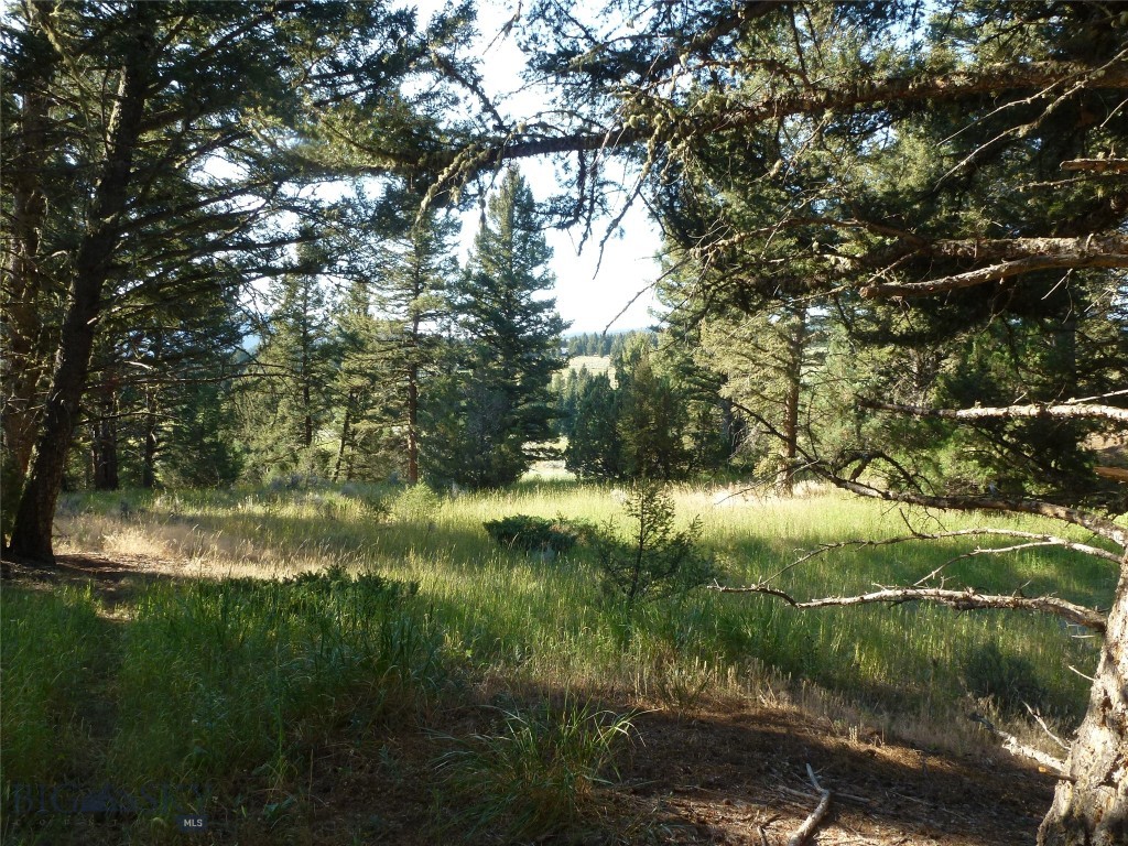 37 Talus Trail