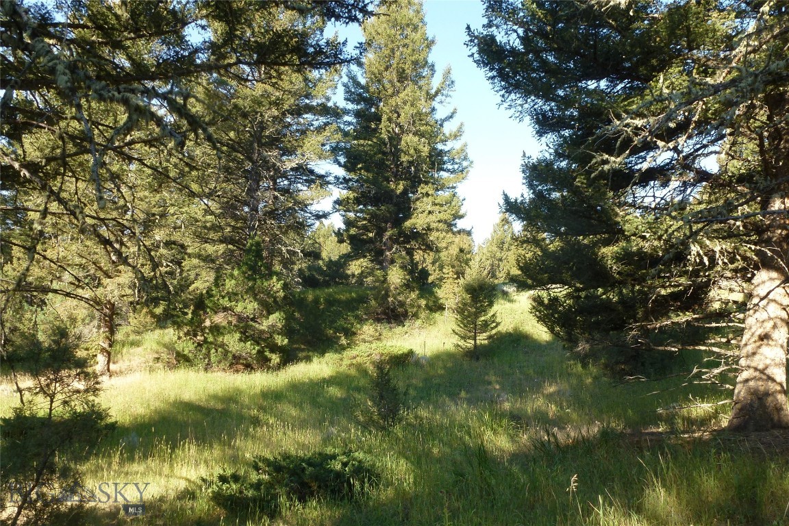 37 Talus Trail