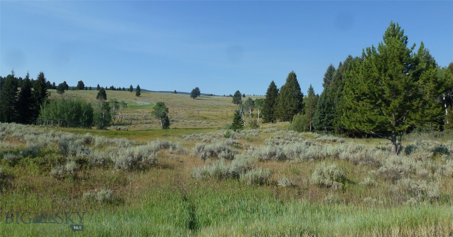 37 Talus Trail