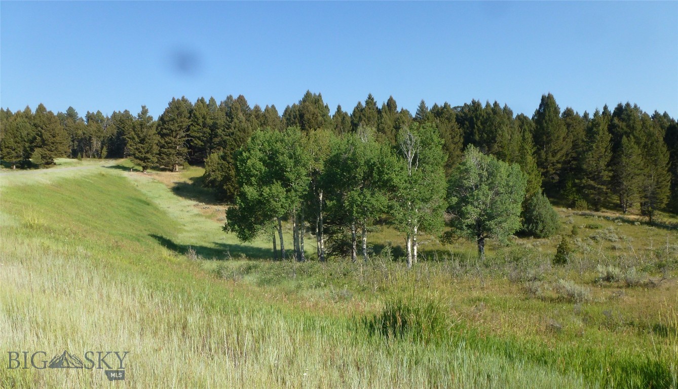 37 Talus Trail