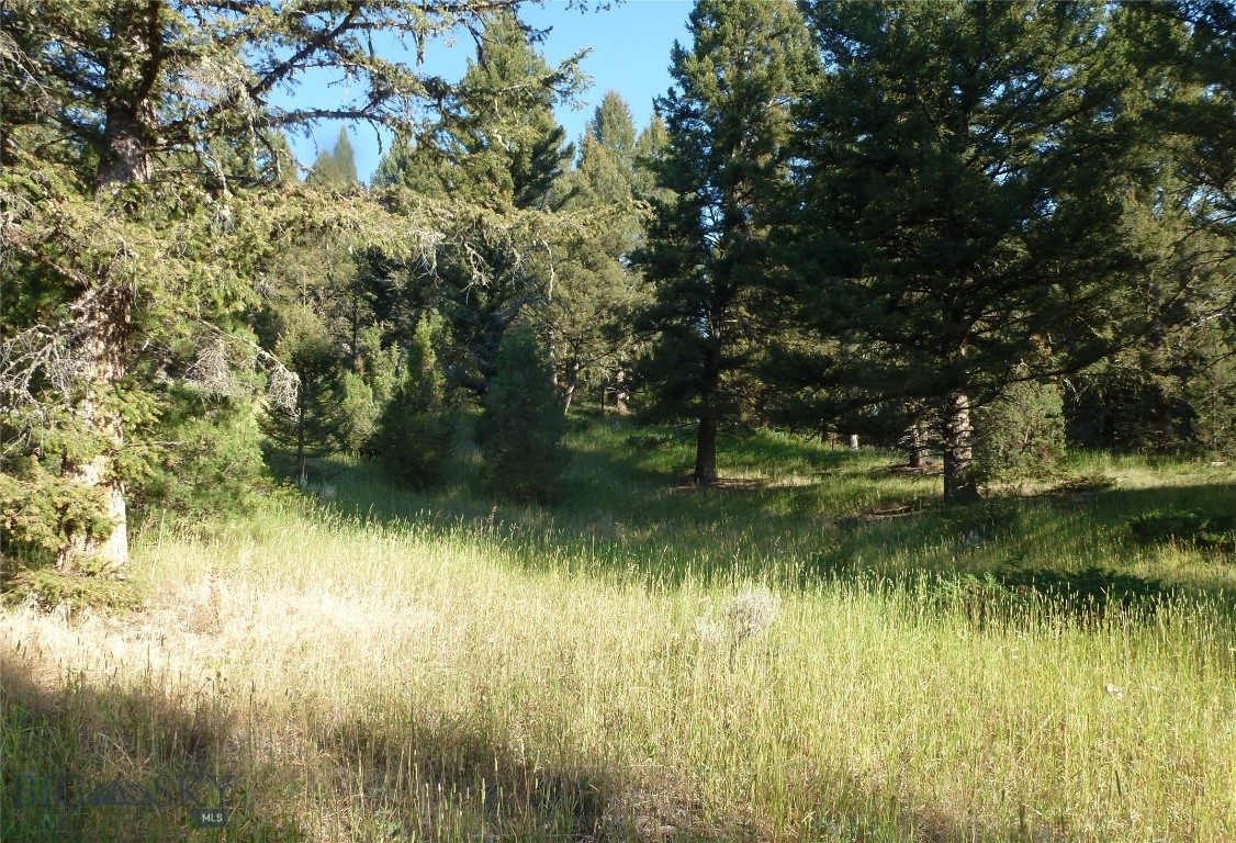 37 Talus Trail