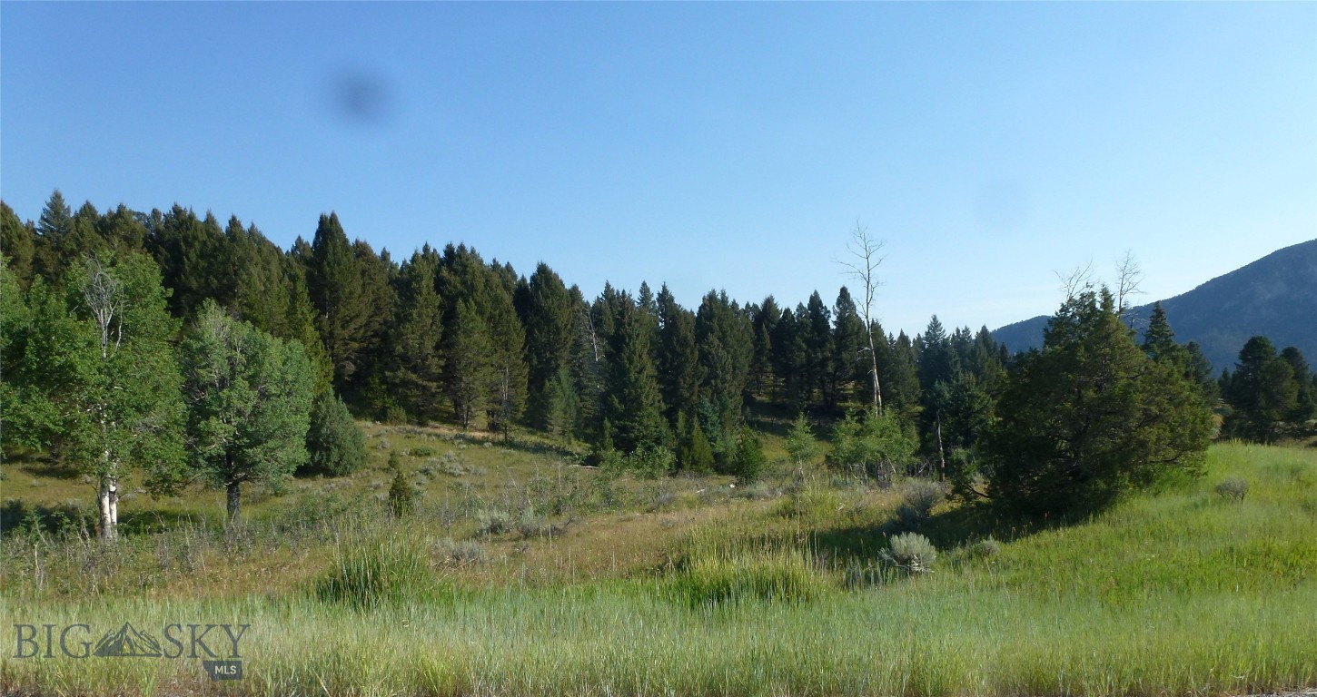 37 Talus Trail