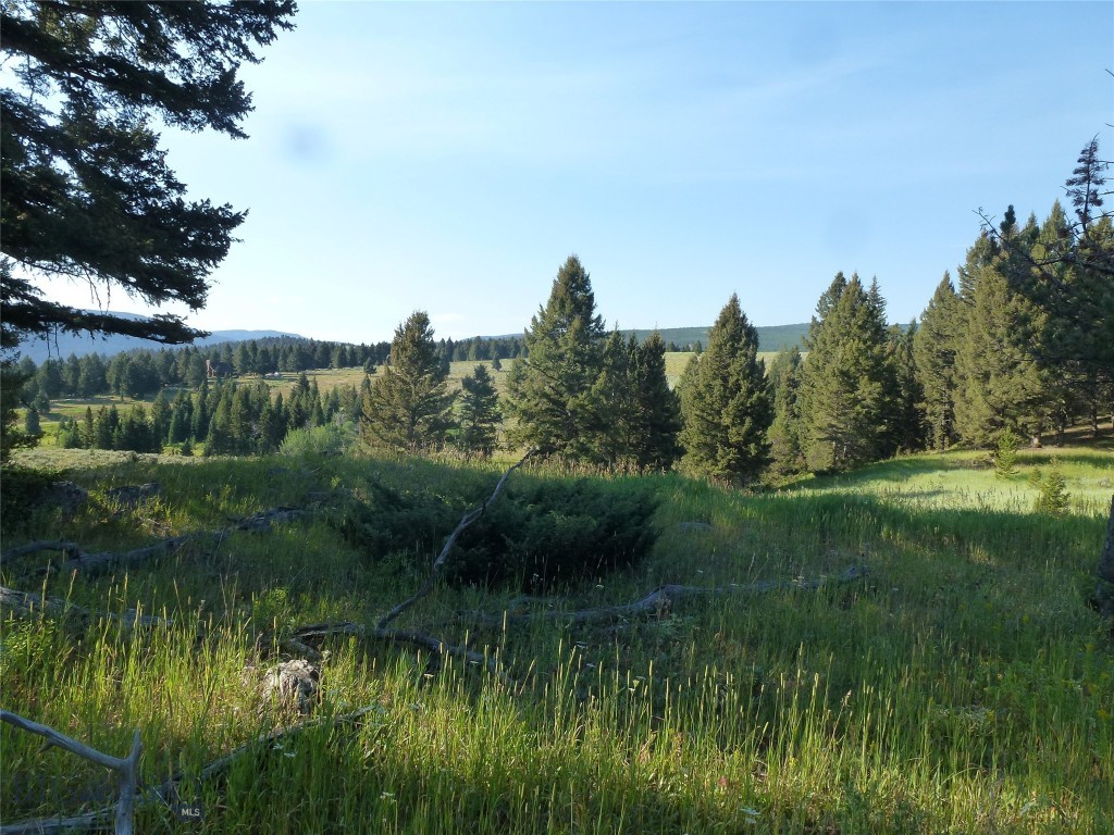 37 Talus Trail
