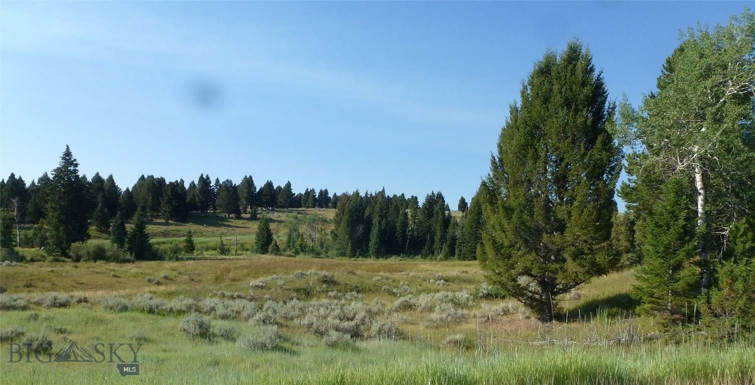 37 Talus Trail