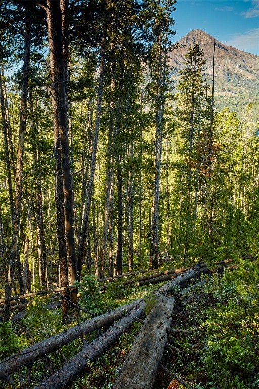 tbd Ulery's Lakes Road - Lot 13A