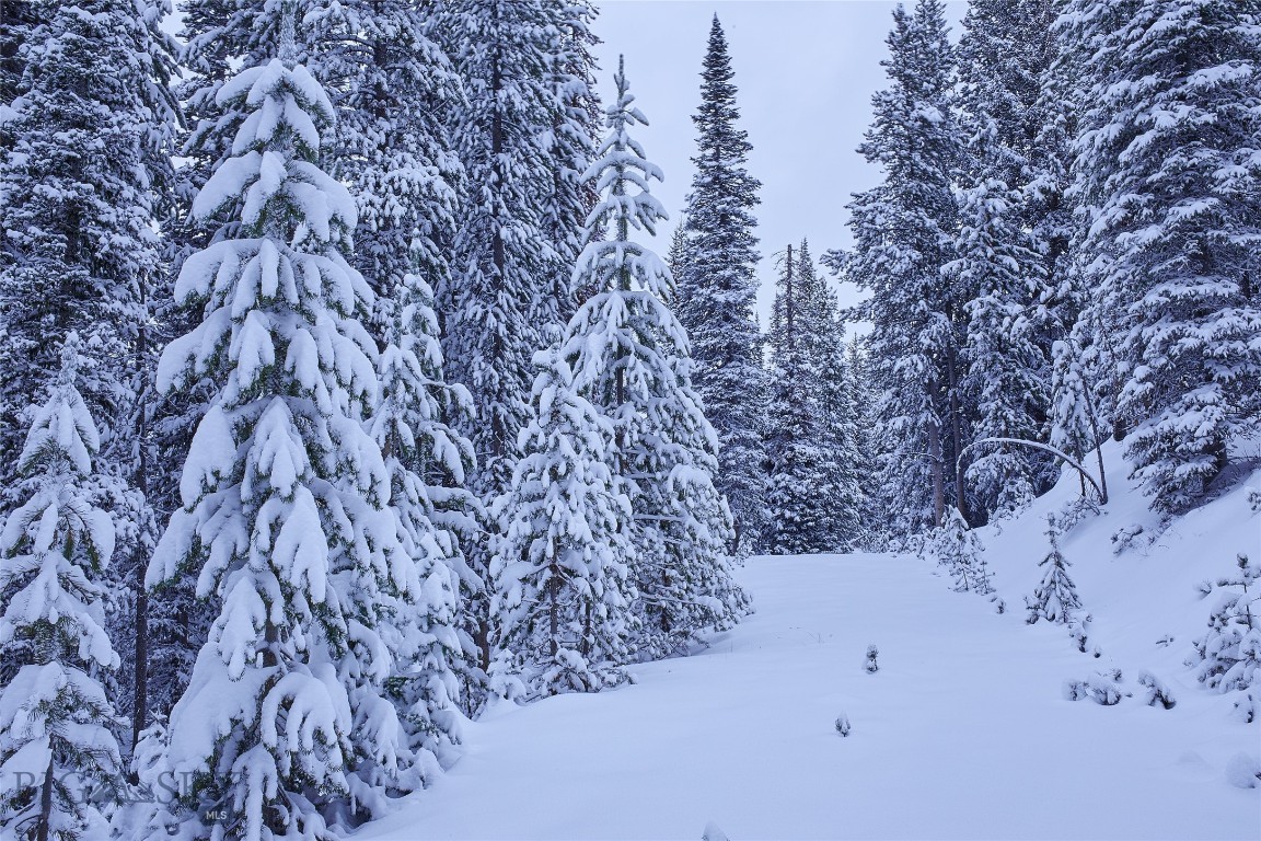 tbd Ulery's Lakes Road - Lot 12A + 13A