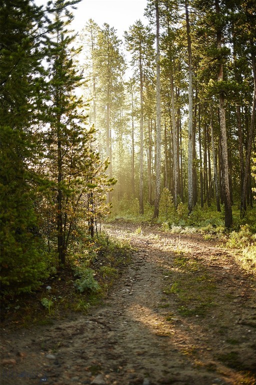 tbd Ulery's Lakes Road - Lot 12A + 13A