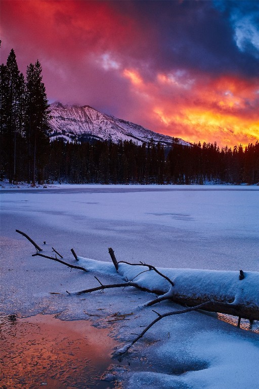 tbd Ulery's Lakes Road - Lot 12A + 13A