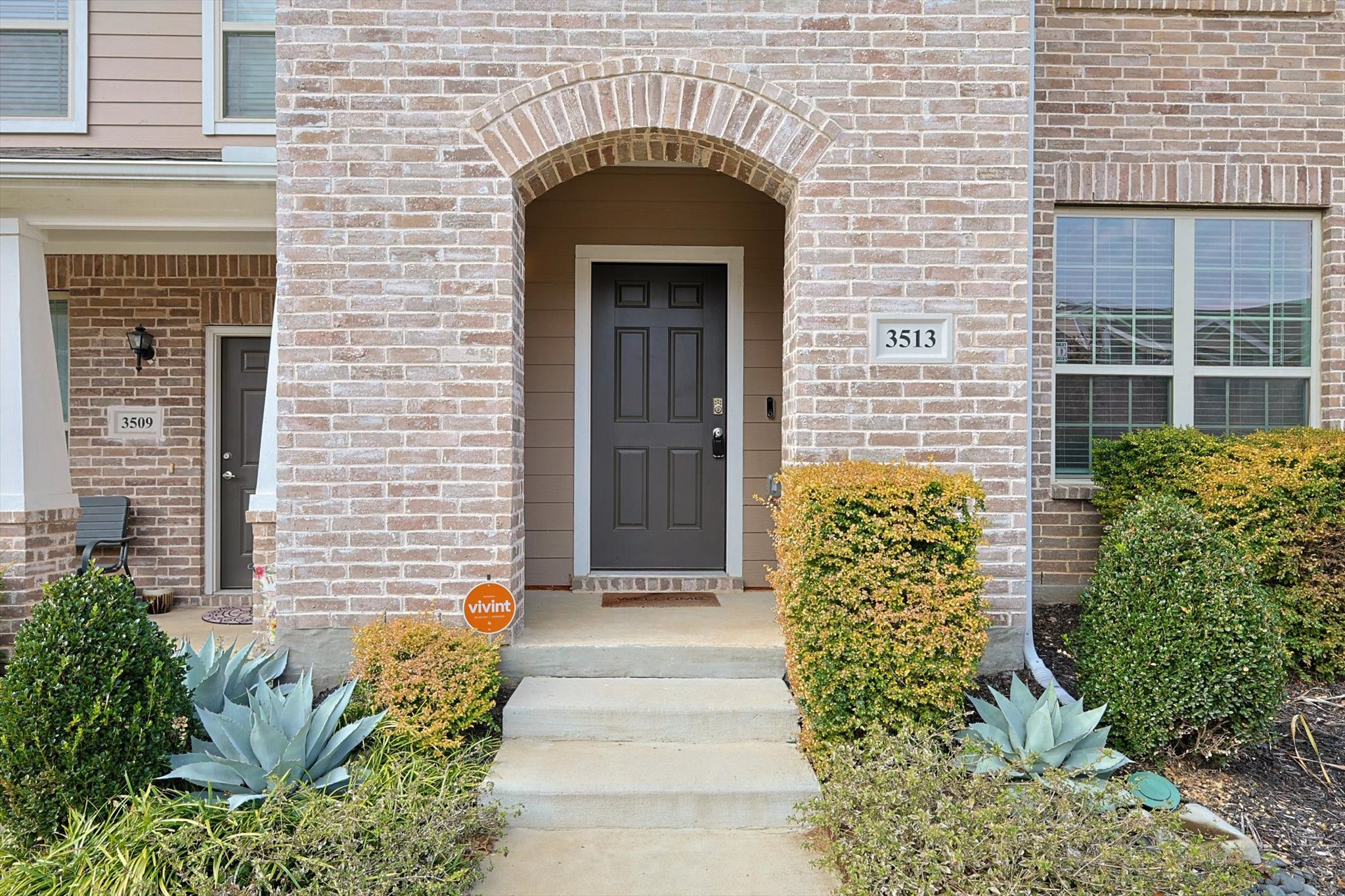 3513 Cricket Drive