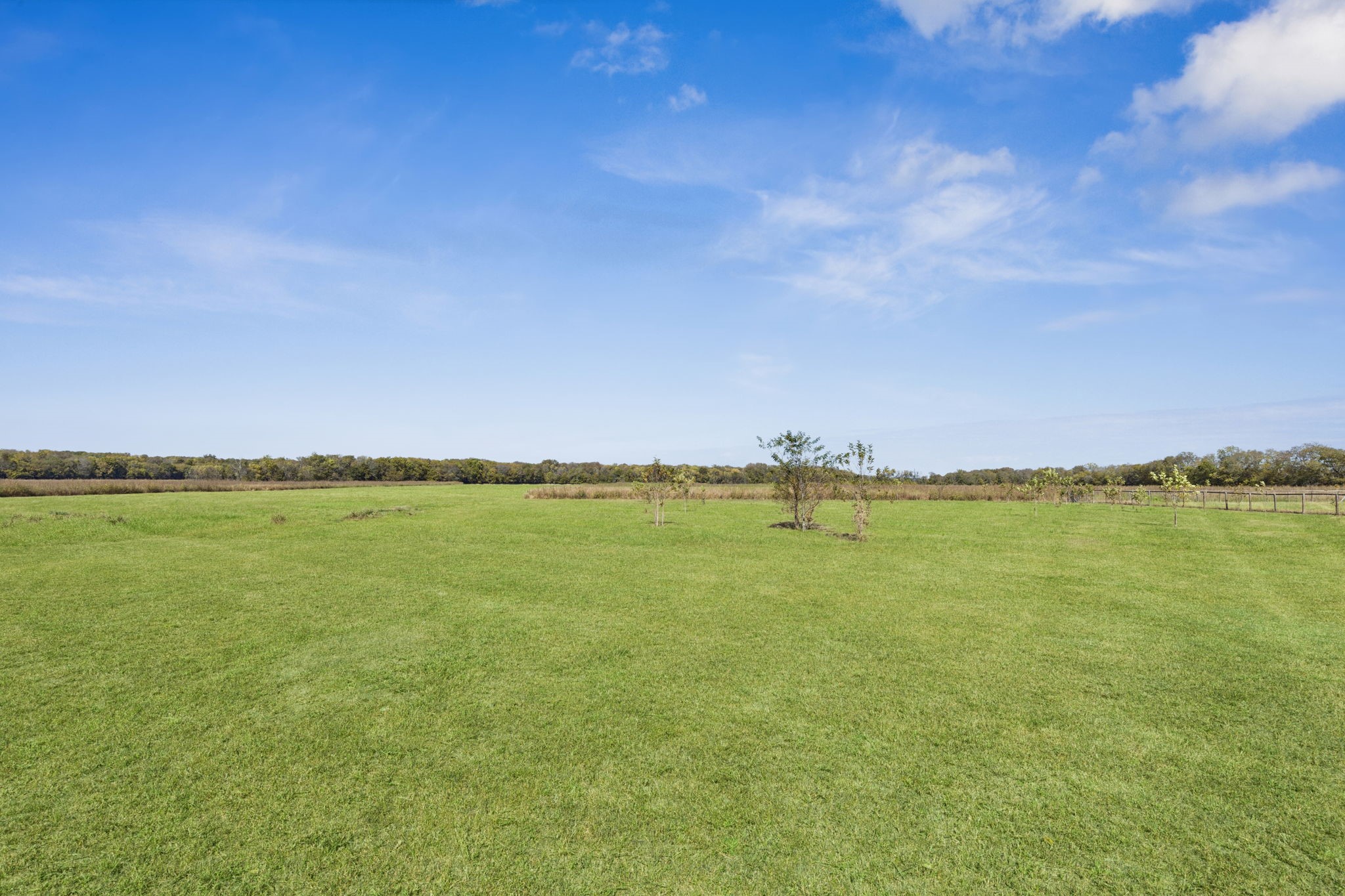 1102 The Trails Drive