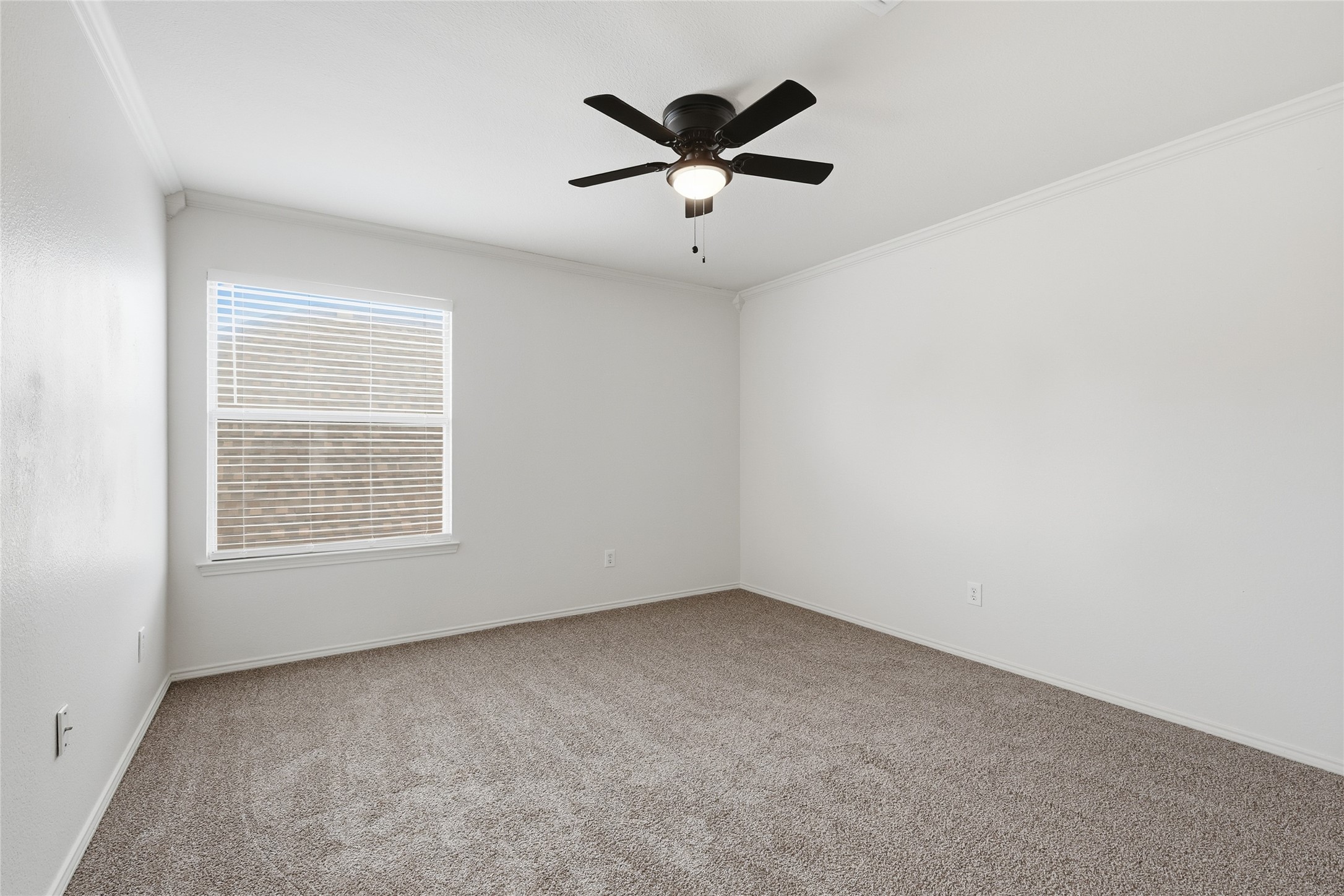 9100 Belvedere Drive