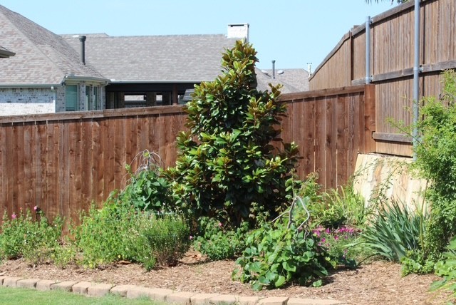 1201 Bluestem Drive
