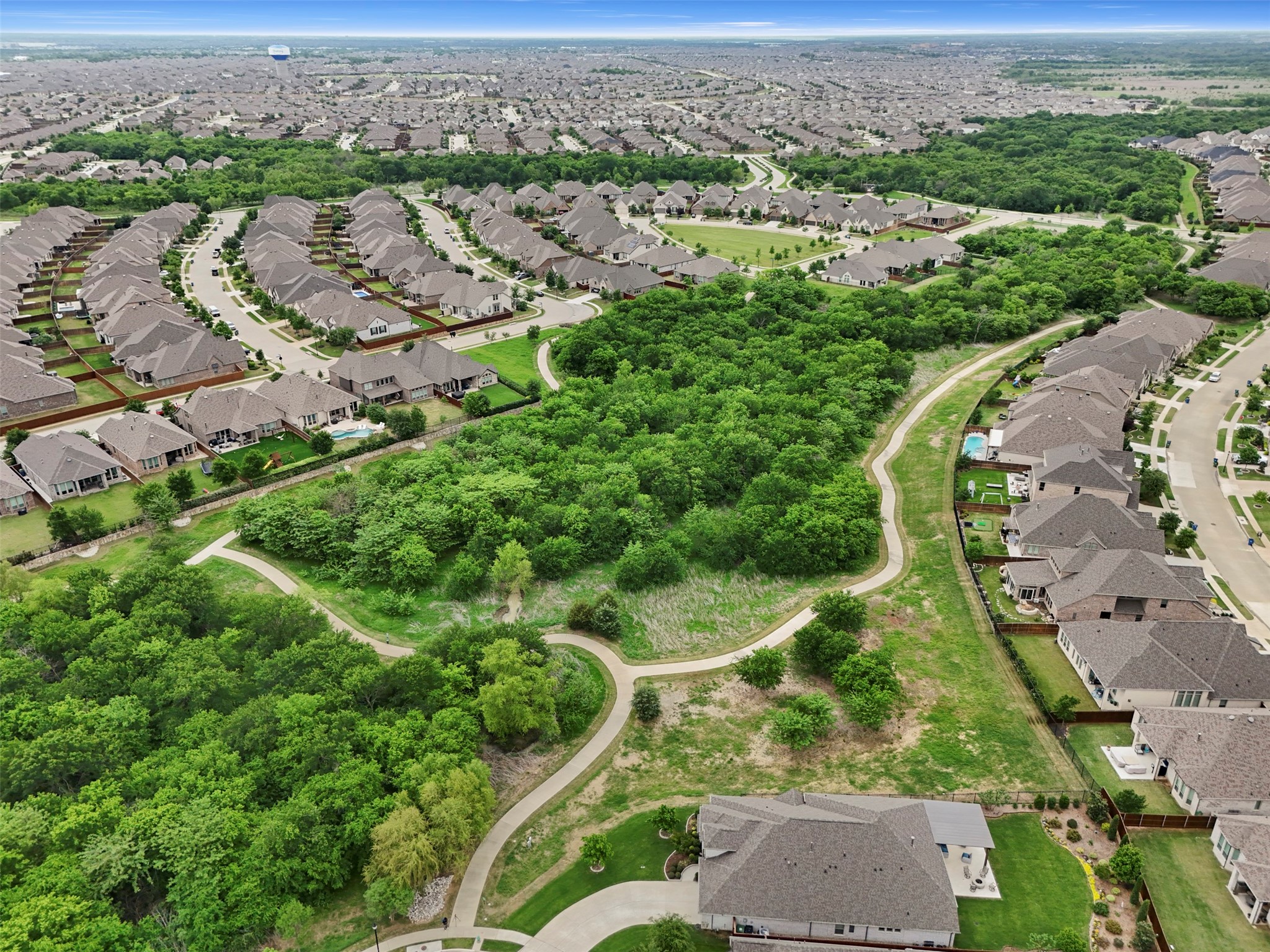 1913 Braided Mane Avenue