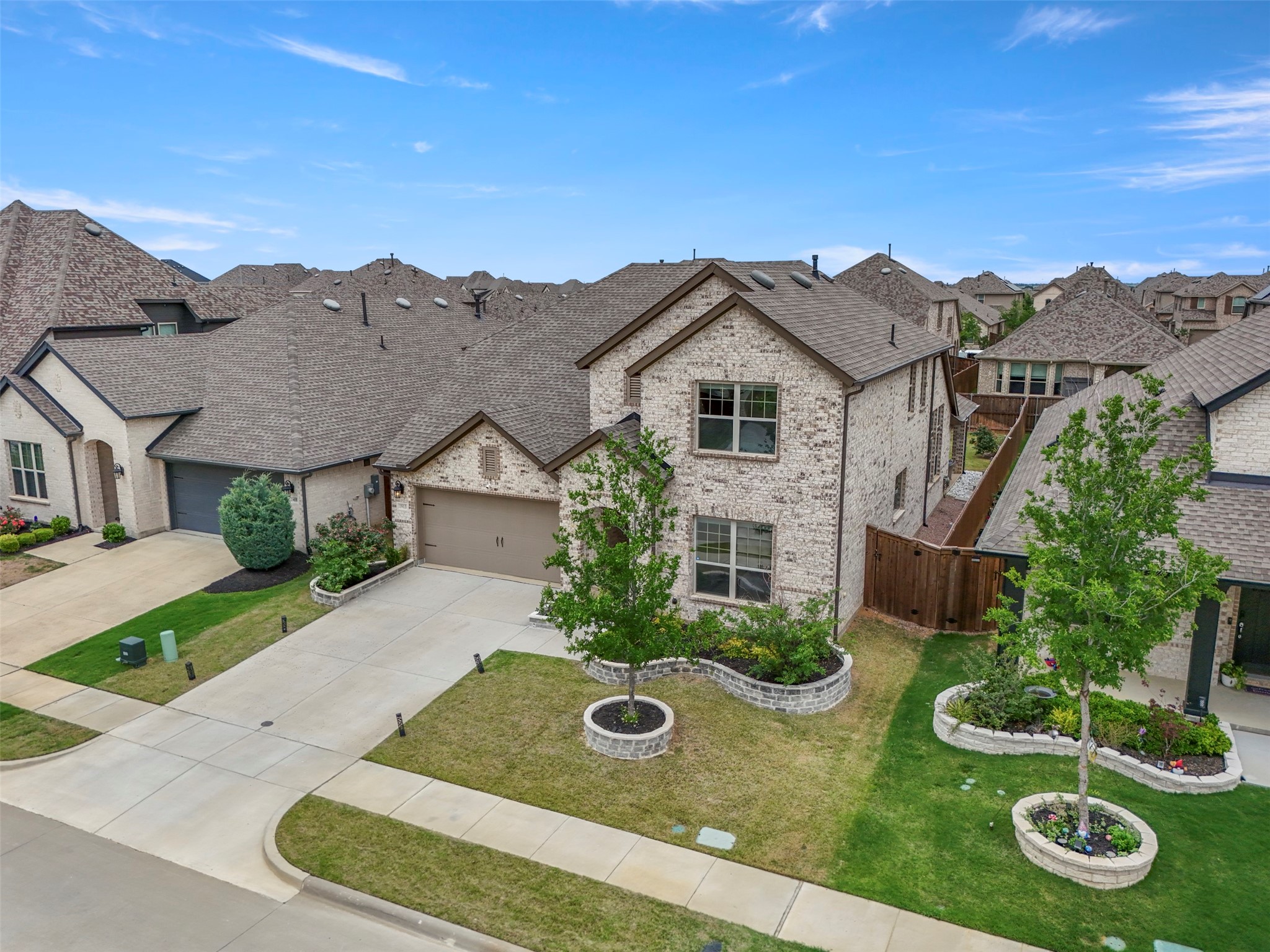 1913 Braided Mane Avenue