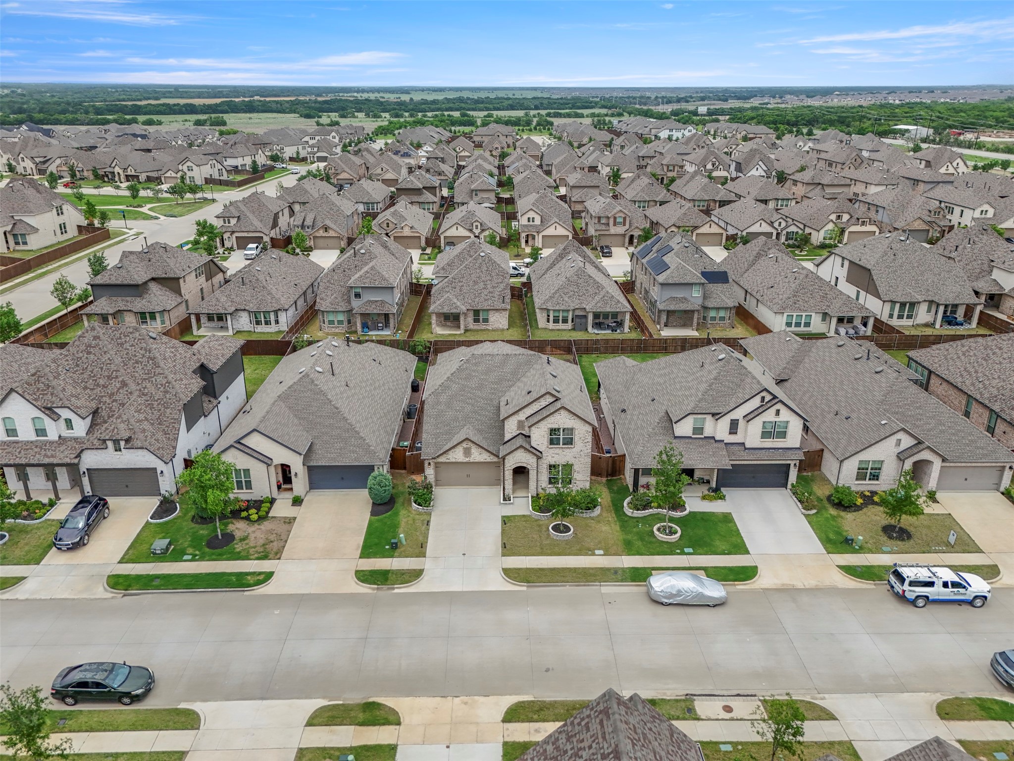 1913 Braided Mane Avenue