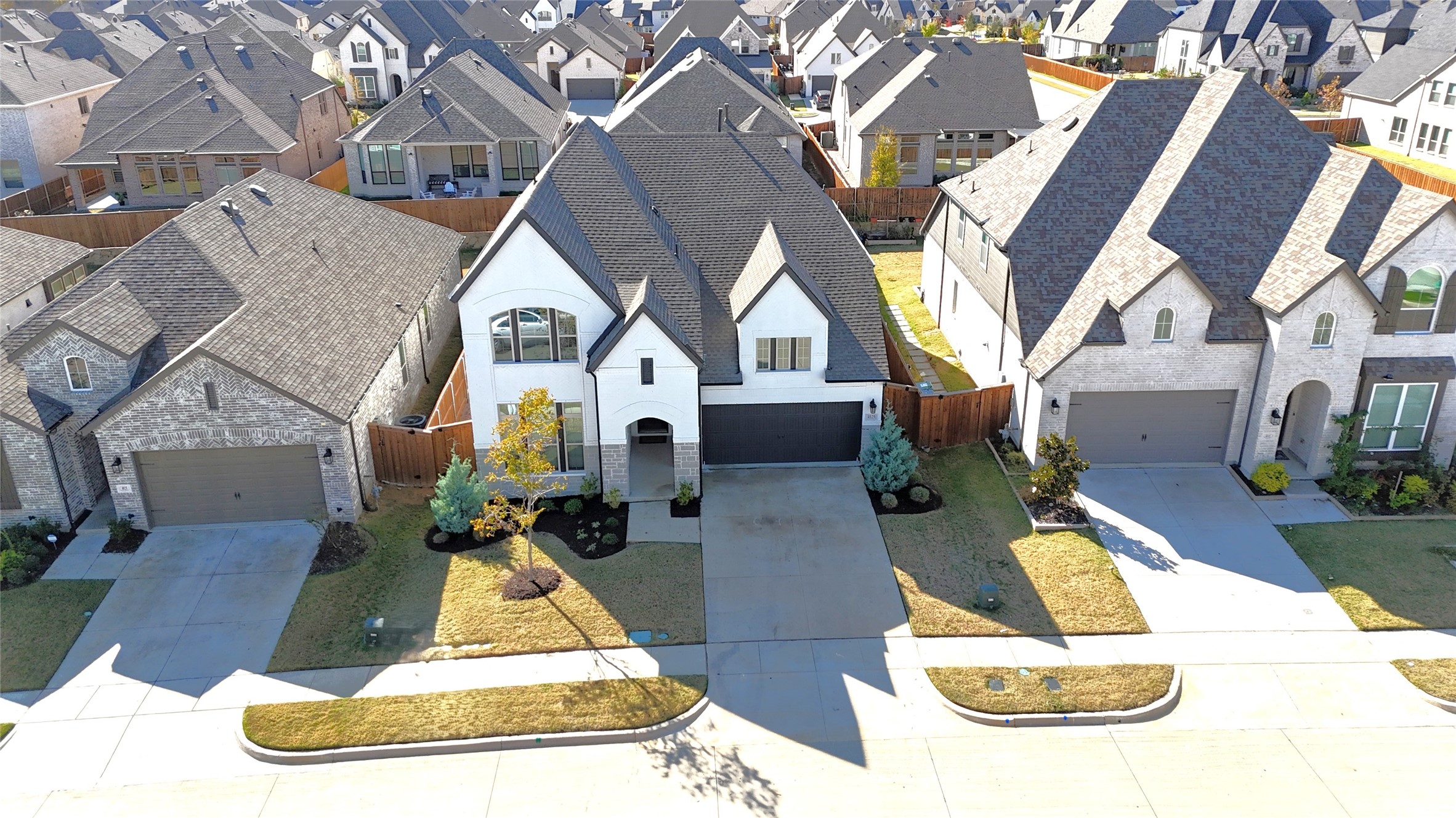 4029 Crepe Myrtle Street