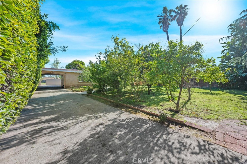 13510 Kittridge Street