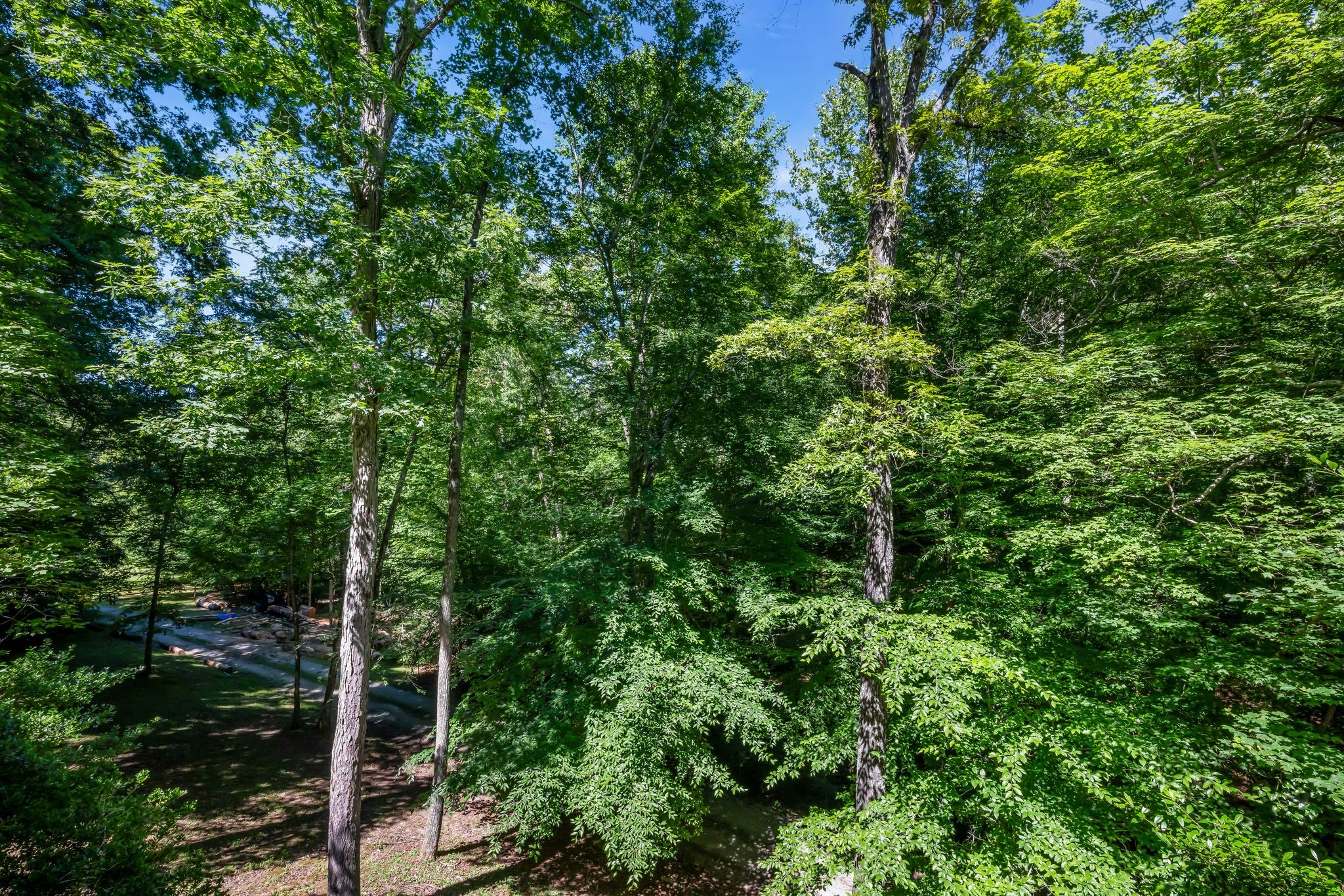 983 Ridgecrest Dr