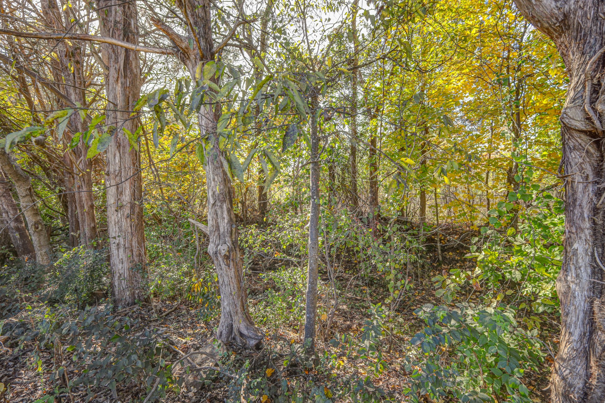 1110 Kathryn Rd