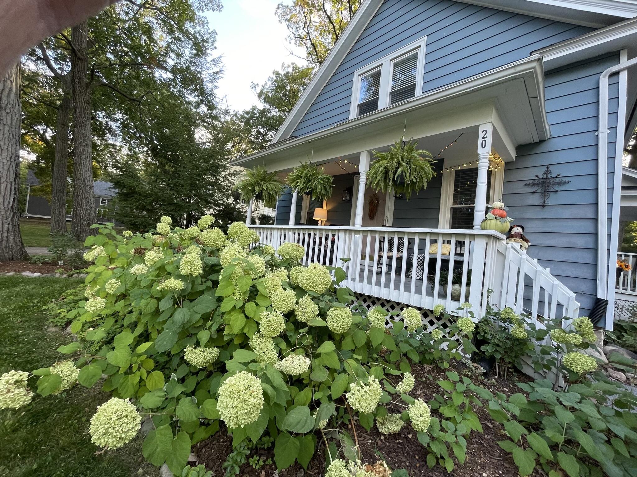 20 Constance Blvd