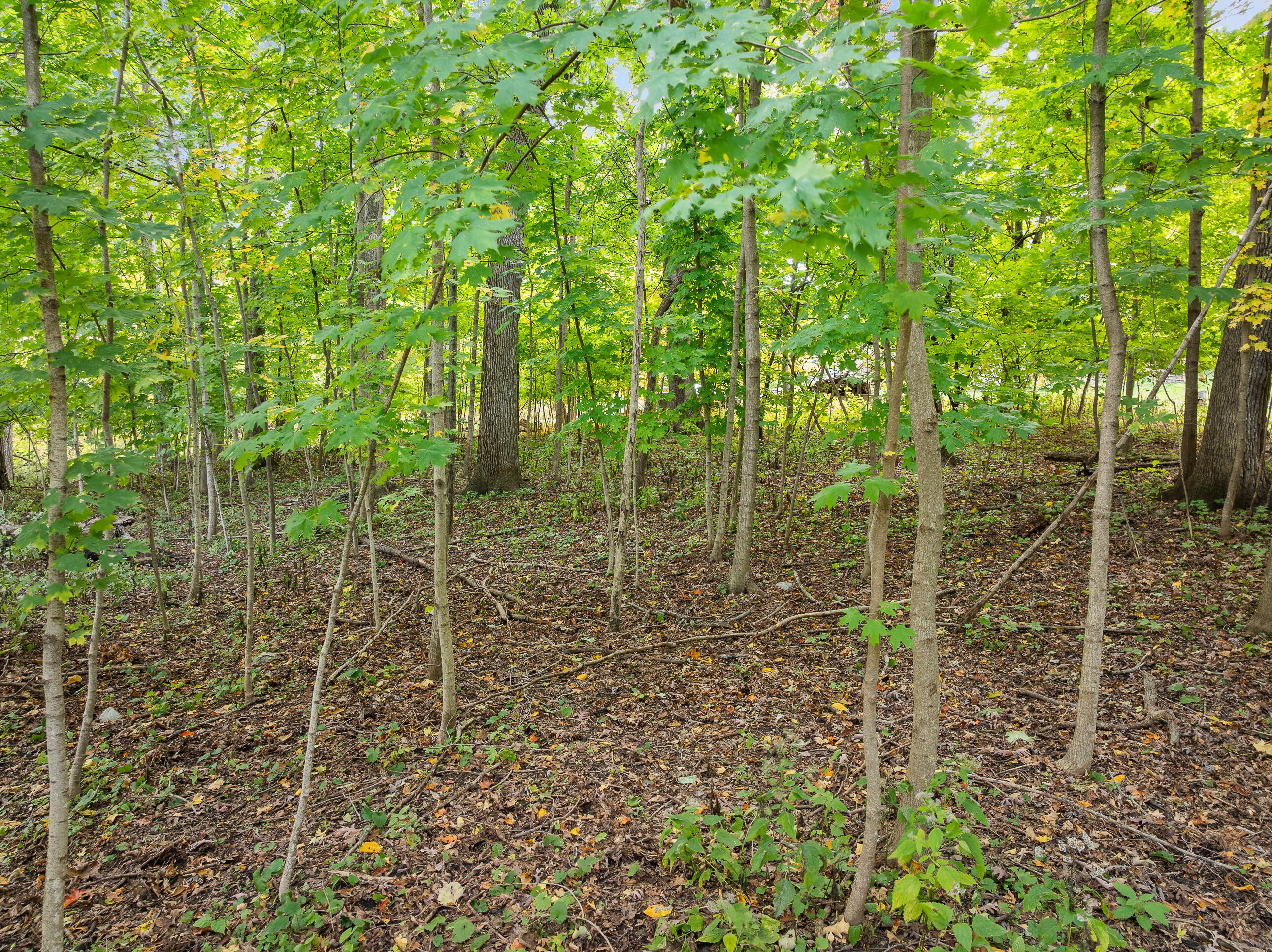 Lot 17 Green Hill Dr