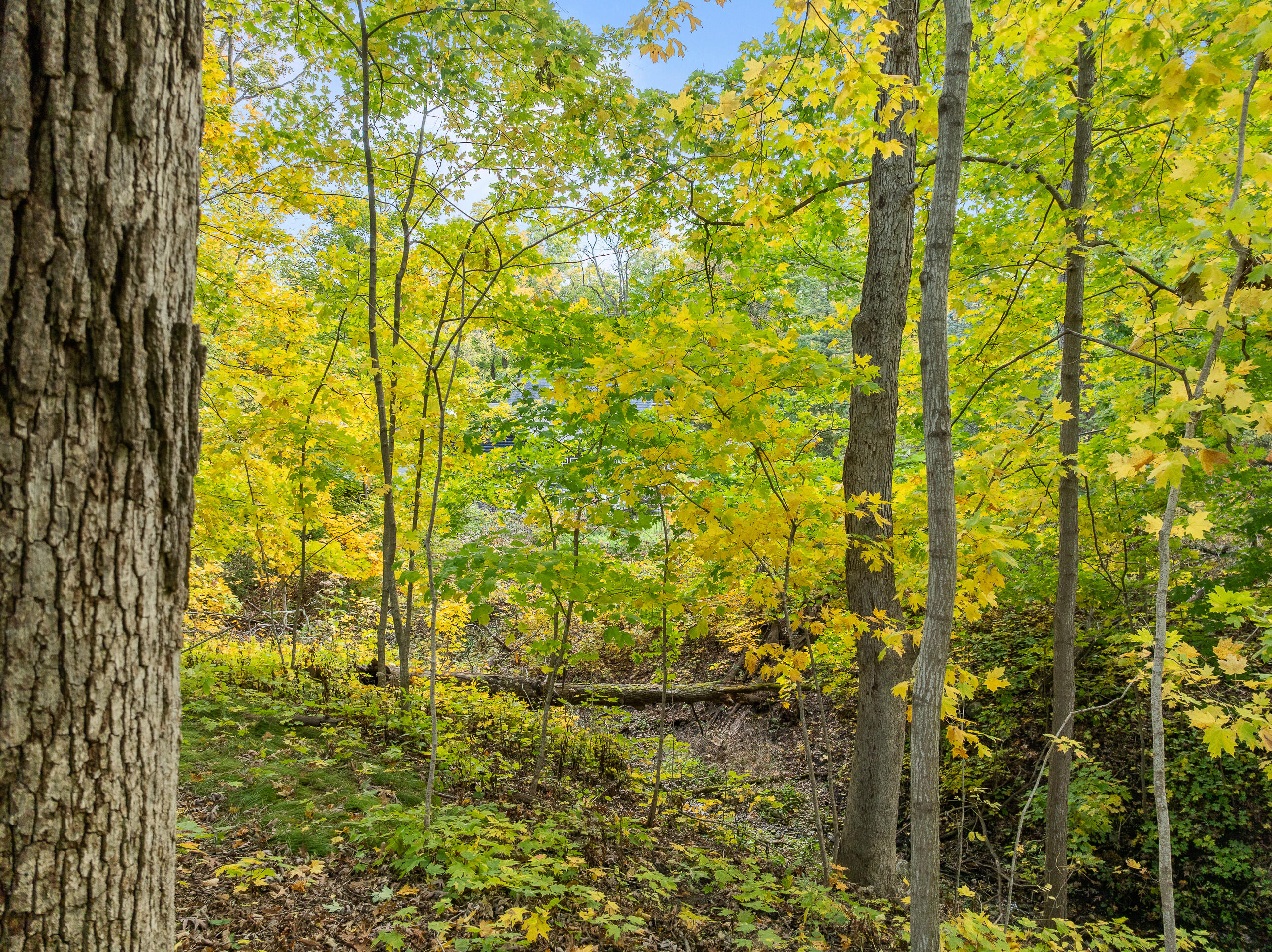 Lot 17 Green Hill Dr