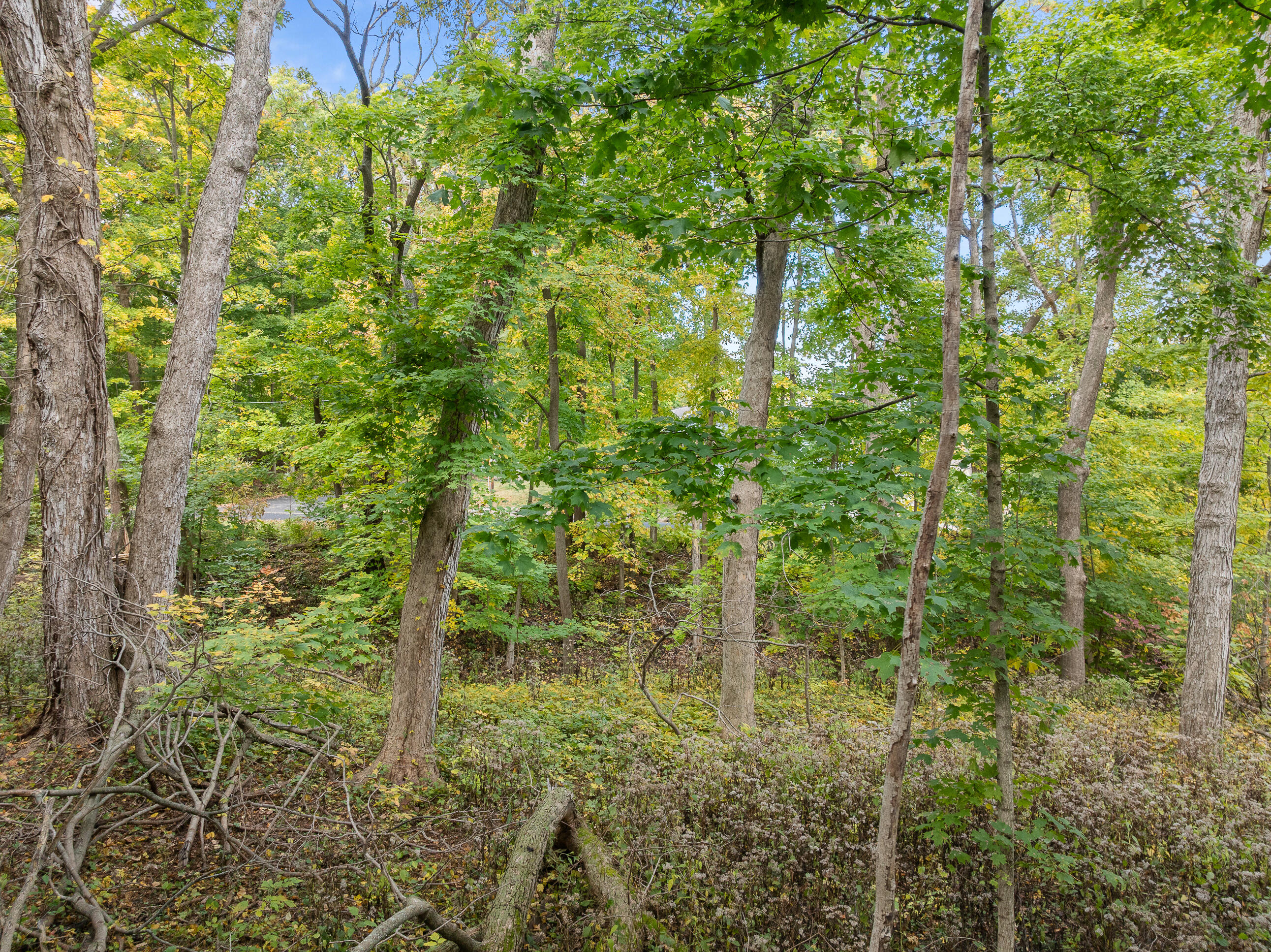 Lot 17 Green Hill Dr