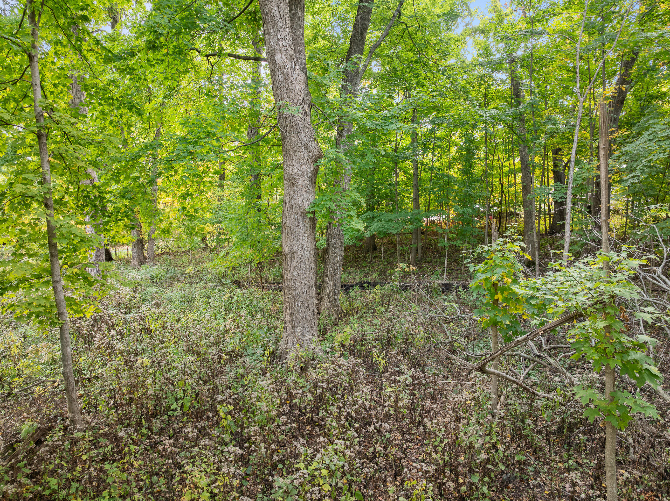 Lot 17 Green Hill Dr